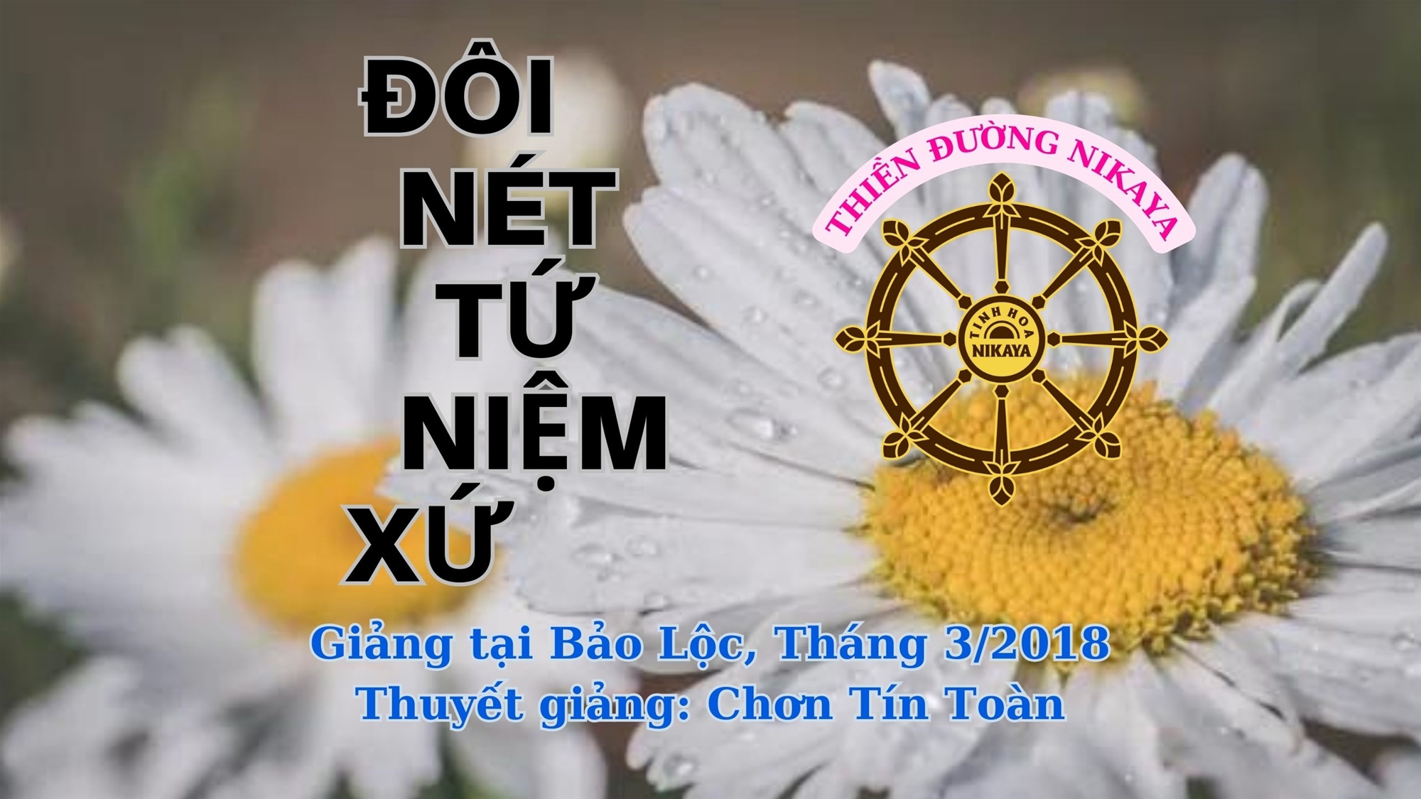 249_ ĐÔI NÉT TỨ NIỆM XỨ_ CHƠN TÍN TOÀN