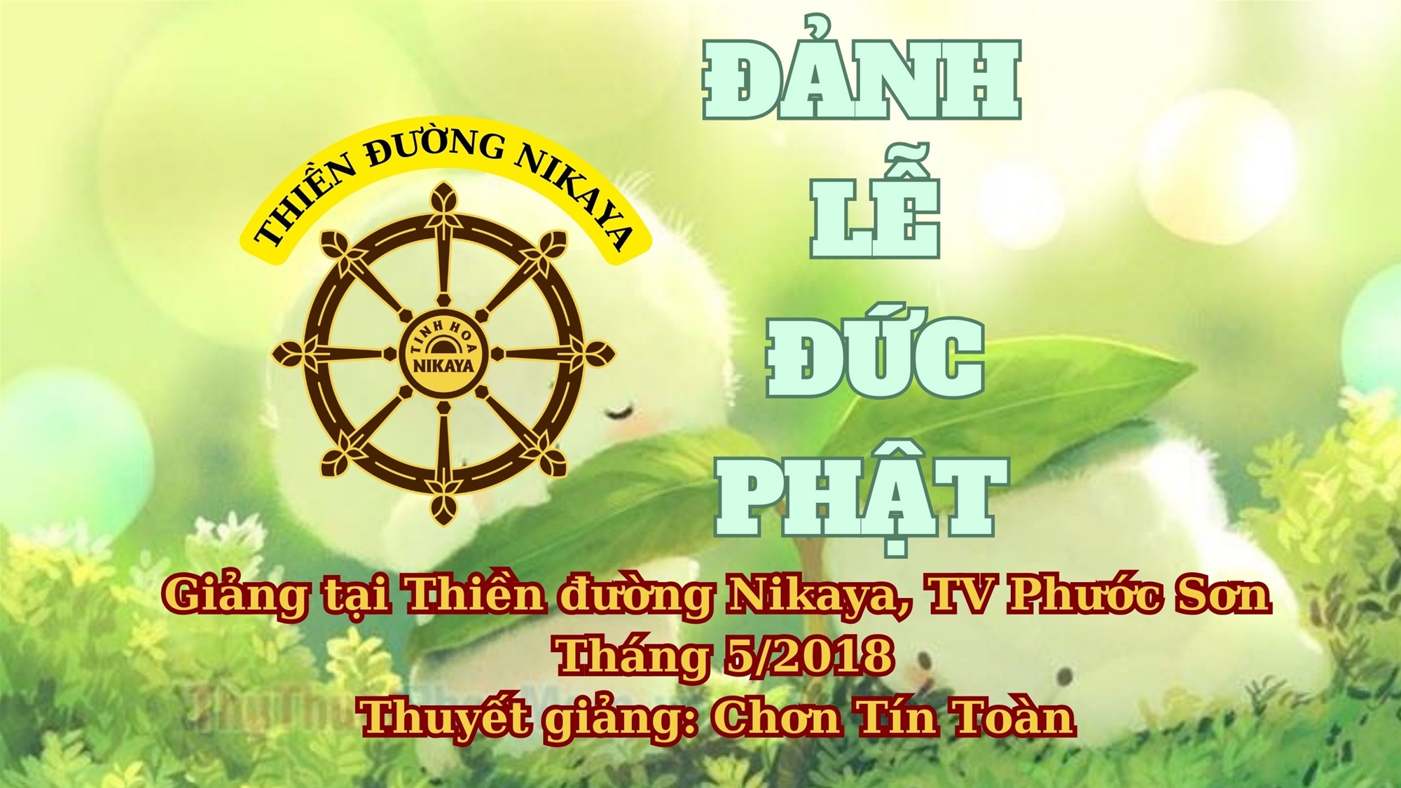 74_ ĐẢNH LỄ ĐỨC PHẬT_ CHƠN TÍN TOÀN