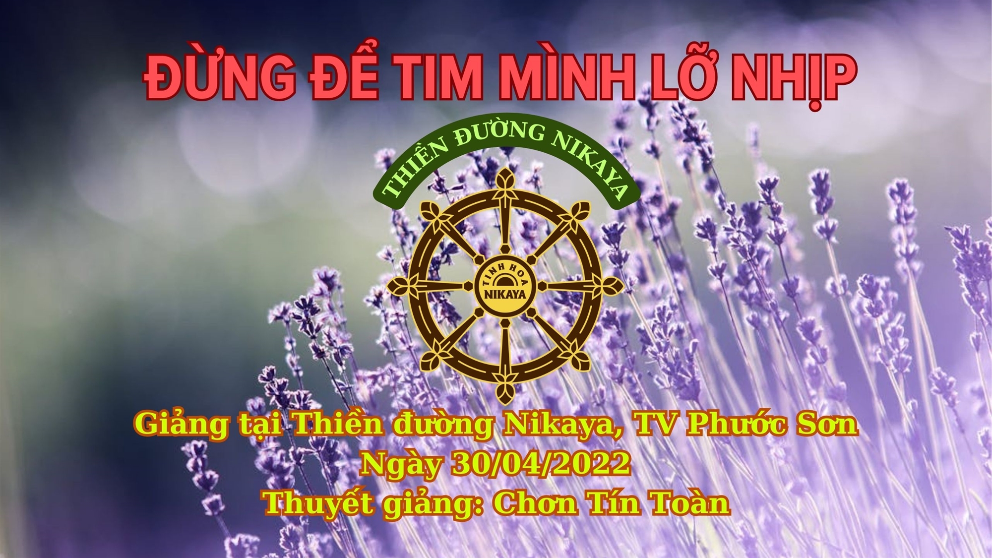 204_ ĐỪNG ĐỂ TIM MÌNH LỠ NHỊP_ CHƠN TÍN TOÀN