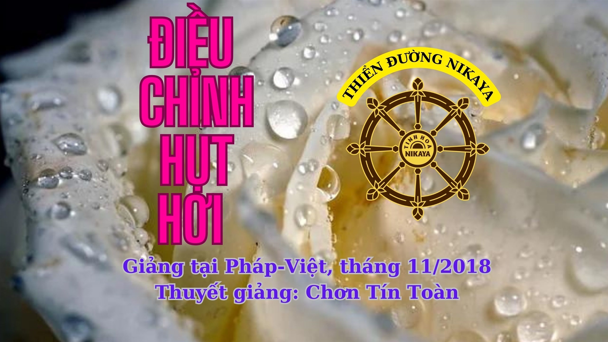242_ ĐIỀU CHỈNH HỤT HƠI_ CHƠN TÍN TOÀN