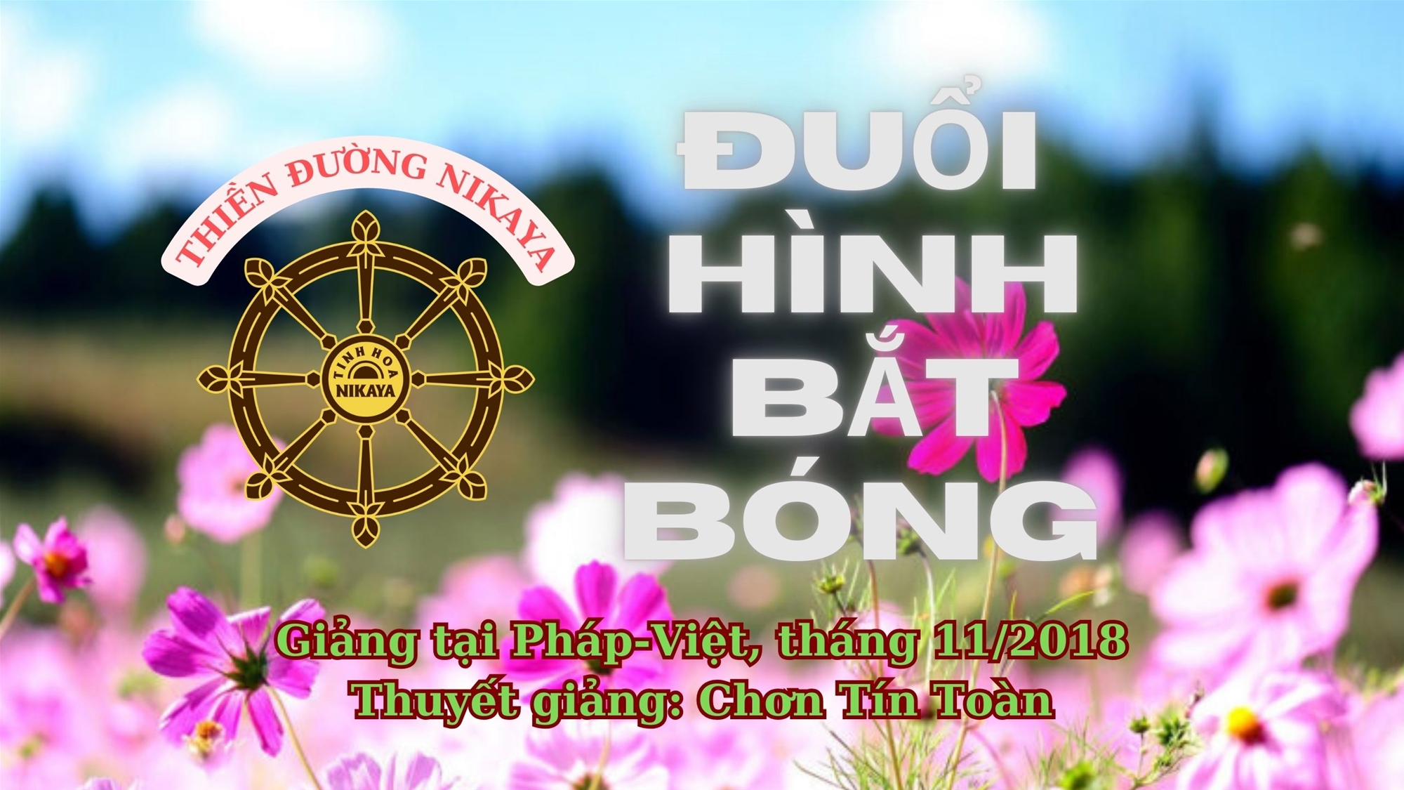 174_ ĐUỔI HÌNH BẮT BÓNG_ CHƠN TÍN TOÀN