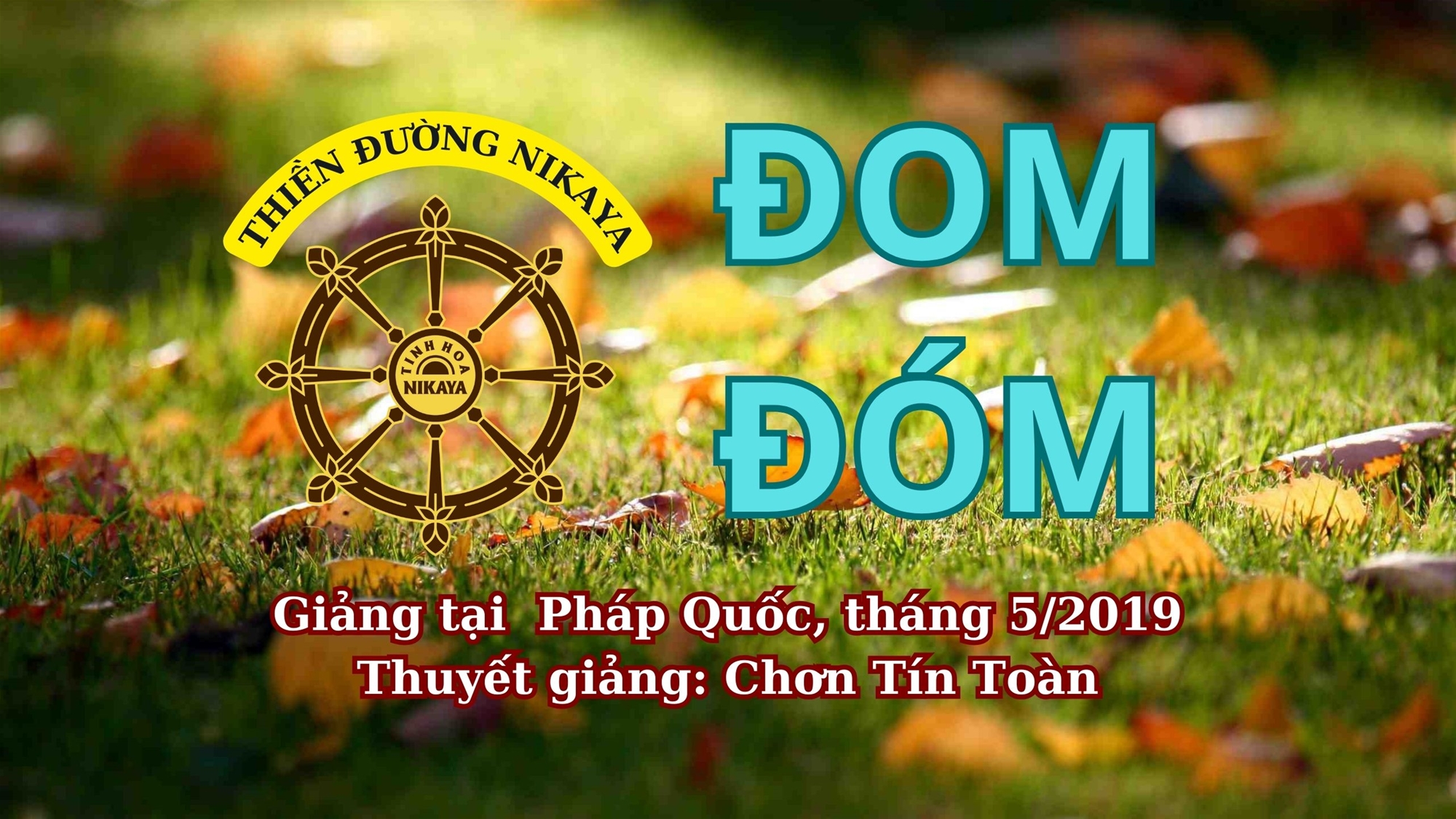 81_ ĐOM ĐÓM_ CHƠN TÍN TOÀN