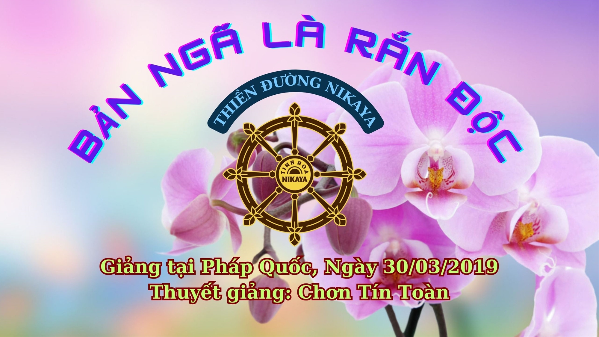 125_ BẢN NGÃ LÀ RẮN ĐỘC_ CHƠN TÍN TOÀN