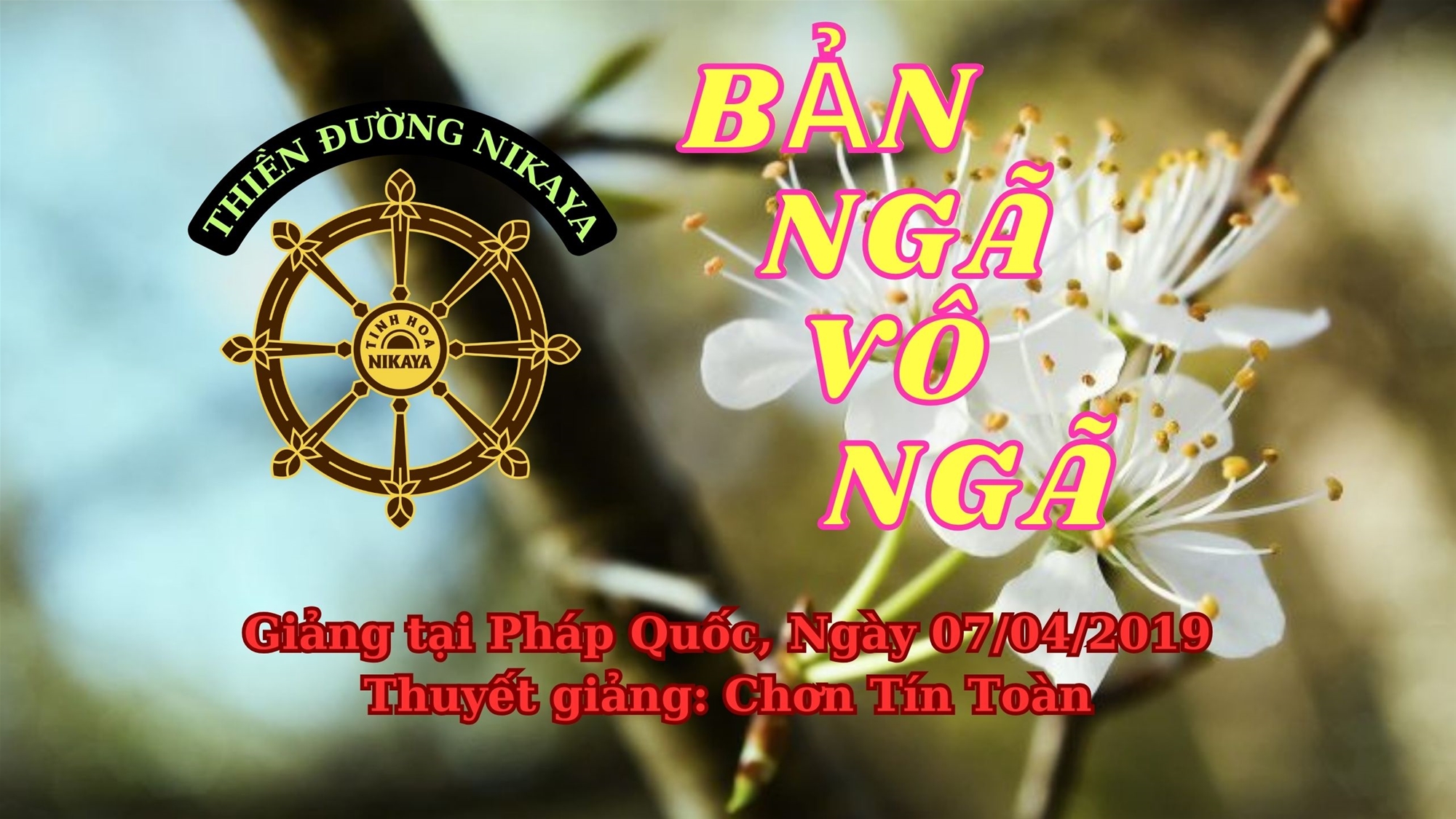 123_ BẢN NGÃ VÔ NGÃ_ CHƠN TÍN TOÀN