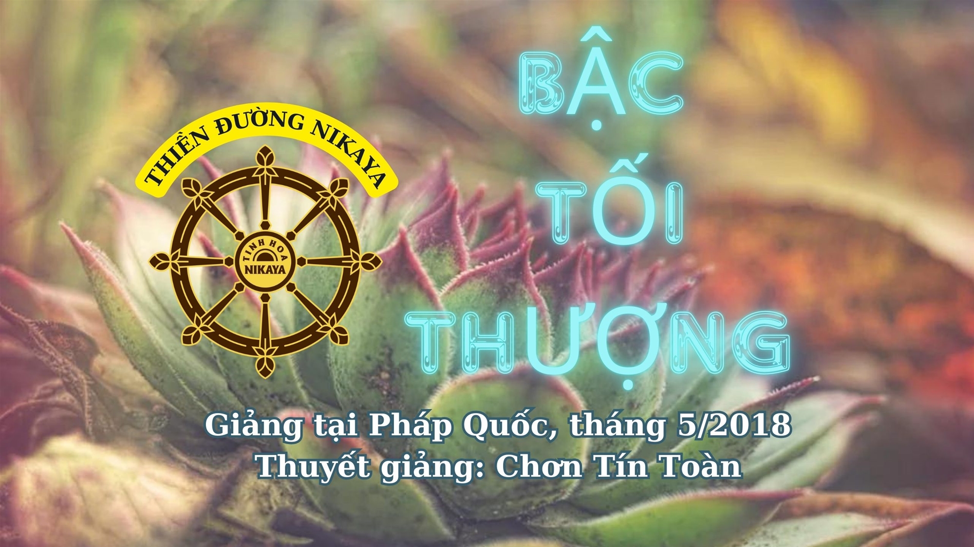 183_ BẬC TỐI THƯỢNG_ CHƠN TÍN TOÀN