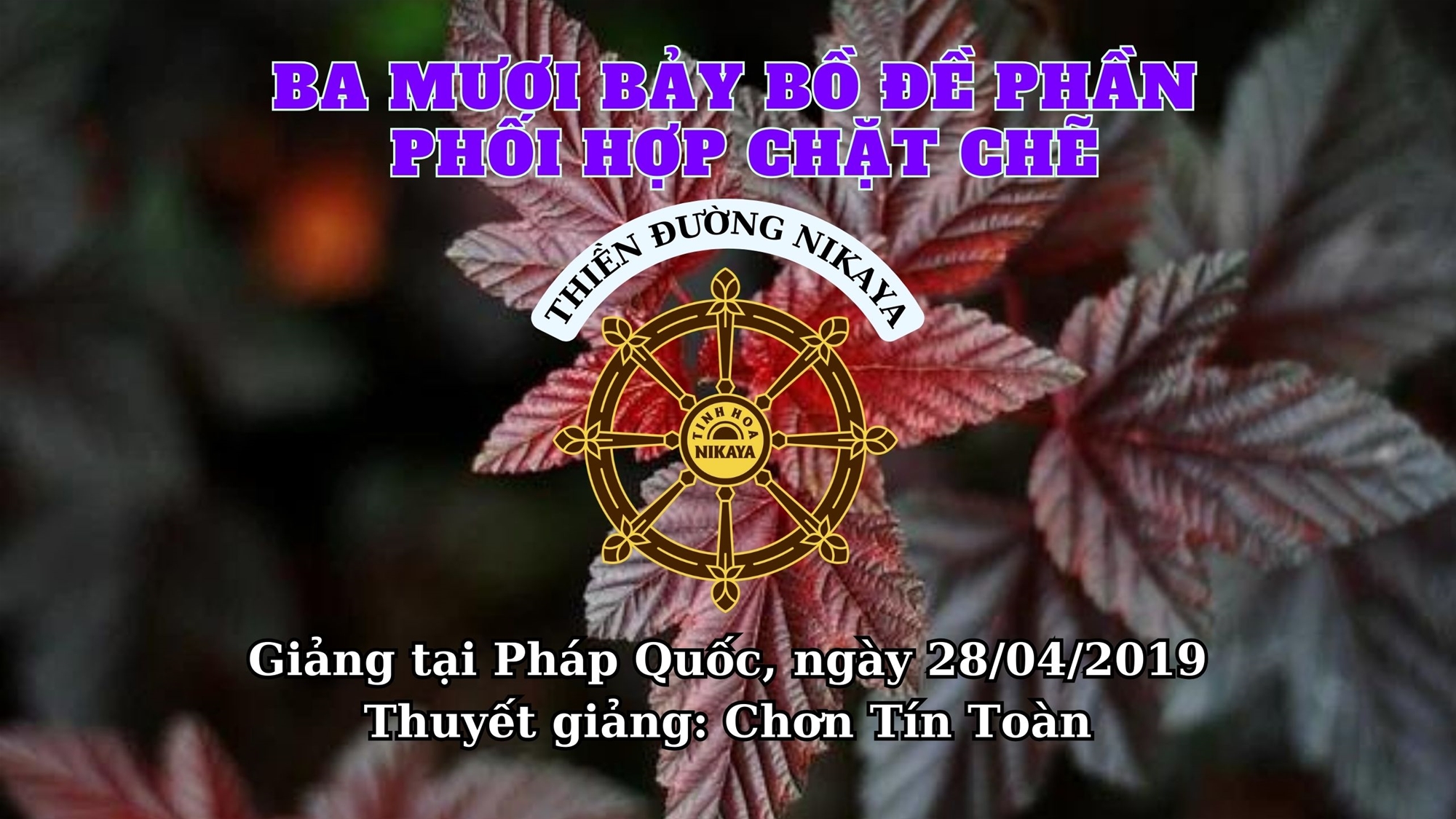 258_ BA MƯƠI BẢY BỒ ĐỀ PHẦN PHỐI HỢP CHẶT CHẼ_ CHƠN TÍN TOÀN