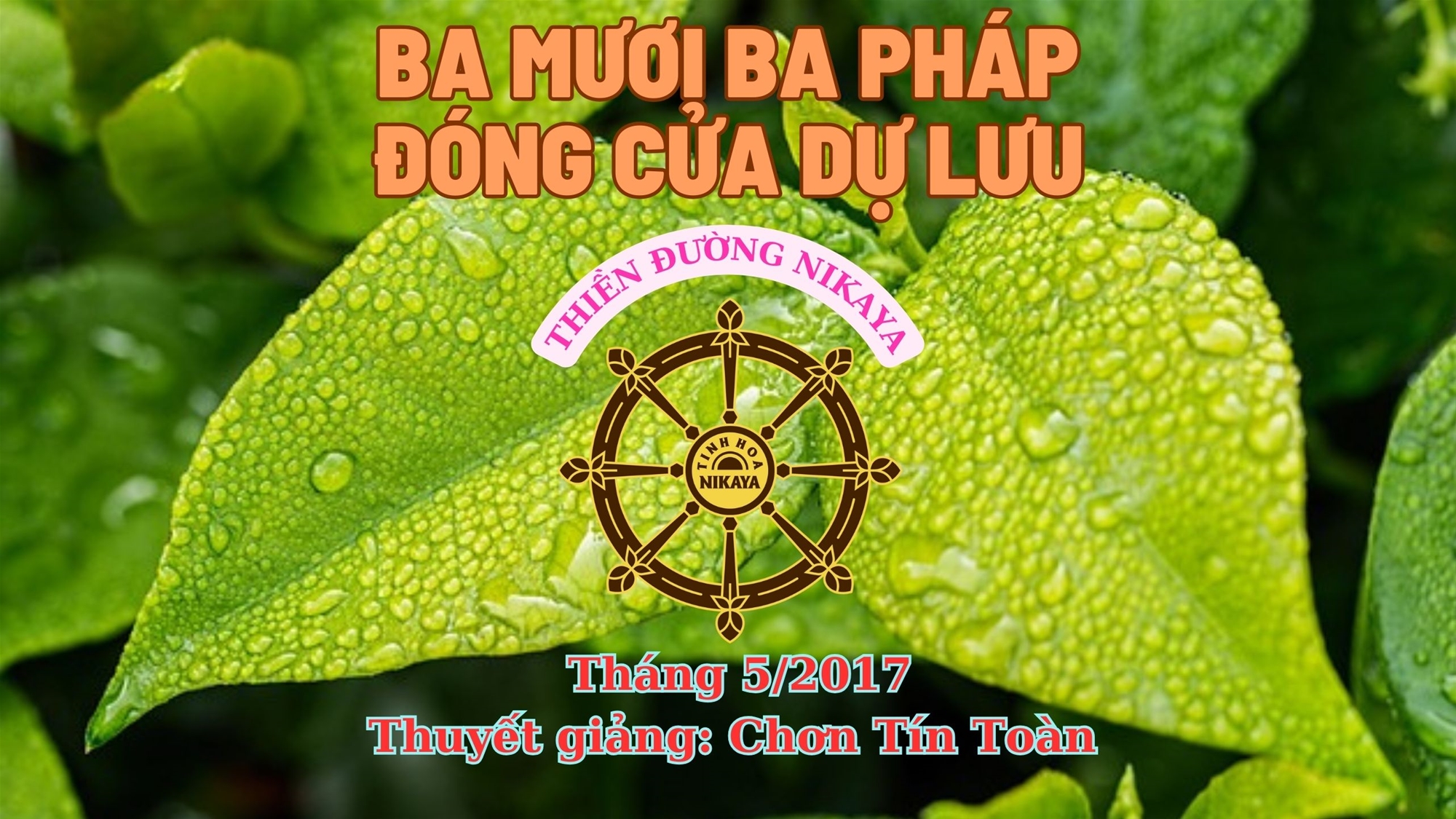 255_ BA MƯƠI BA PHÁP ĐÓNG CỬA DỰ LƯU_ CHƠN TÍN TOÀN