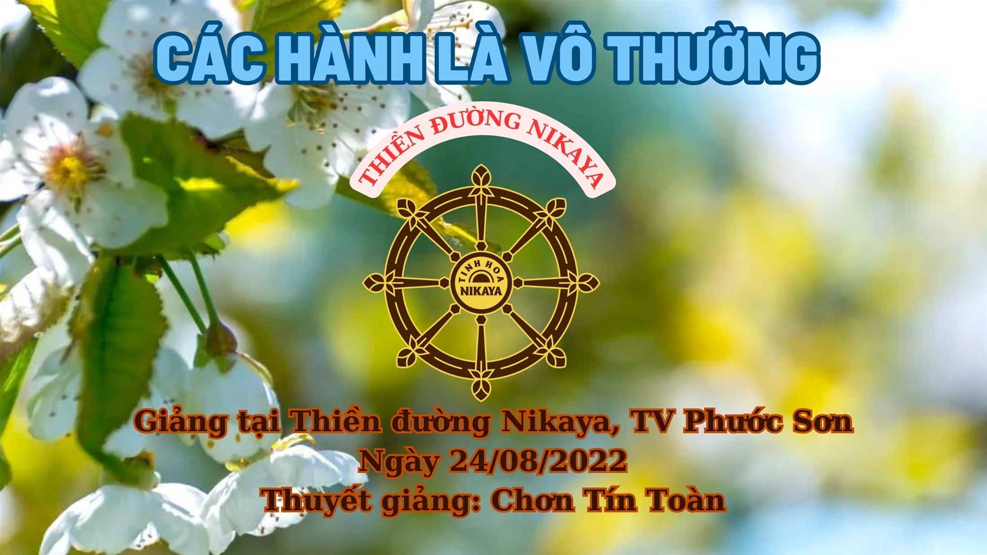 210_ CÁC HÀNH LÀ VÔ THƯỜNG_ CHƠN TÍN TOÀN