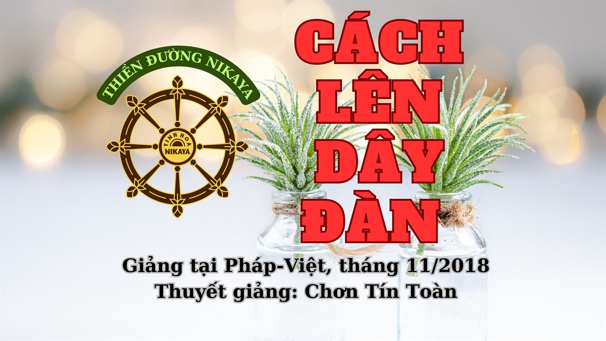 243_ CÁCH LÊN DÂY ĐÀN_ CHƠN TÍN TOÀN