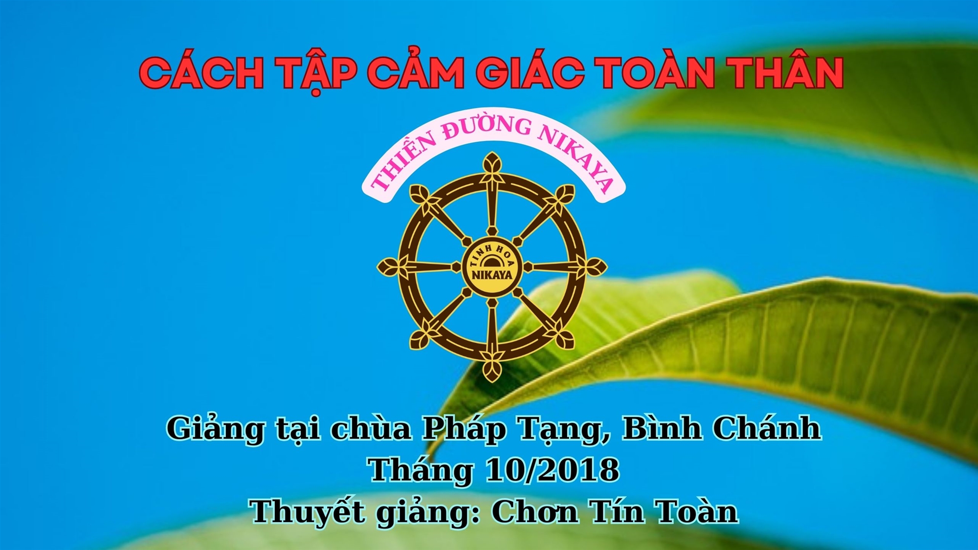 245_ CÁCH TẬP CẢM GIÁC TOÀN THÂN_ CHƠN TÍN TOÀN
