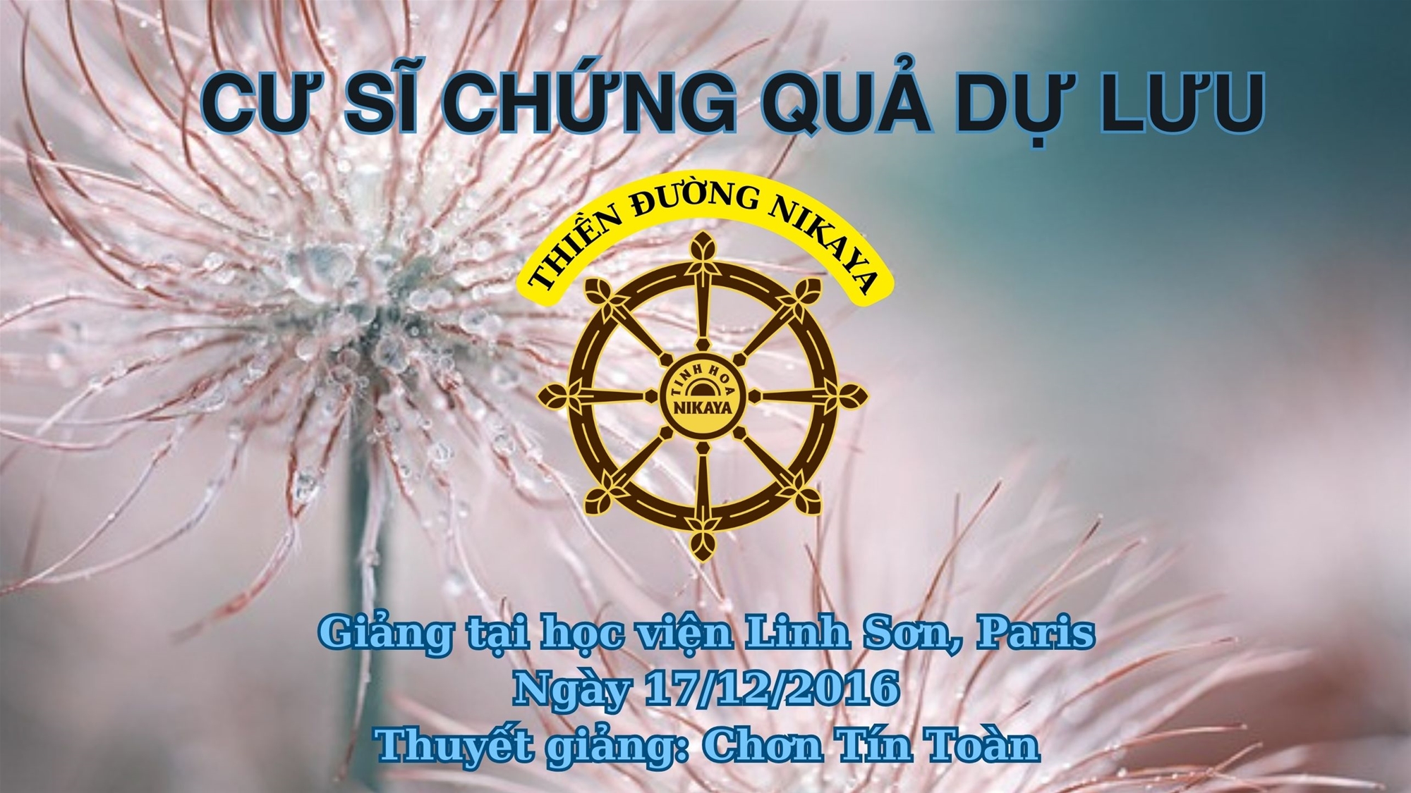 253_ CƯ SĨ CHỨNG QUẢ DỰ LƯU_ CHƠN TÍN TOÀN