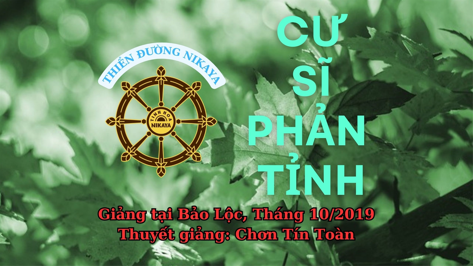 254_ CƯ SĨ PHẢN TỈNH_ CHƠN TÍNH TOÀN