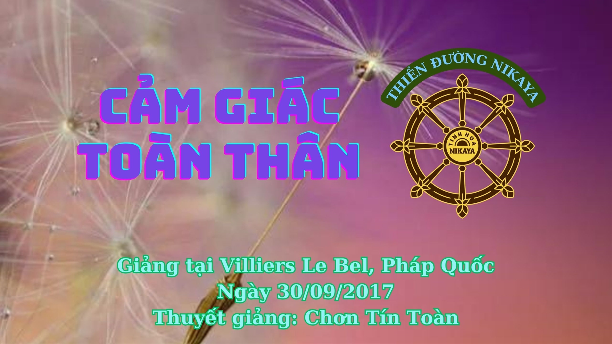 244_ CẢM GIÁC TOÀN THÂN_ CHƠN TÍN TOÀN