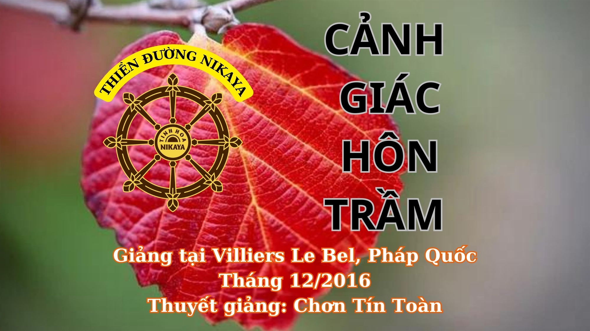 241_ CẢNH GIÁC HÔN TRẦM_ CHƠN TÍN TOÀN
