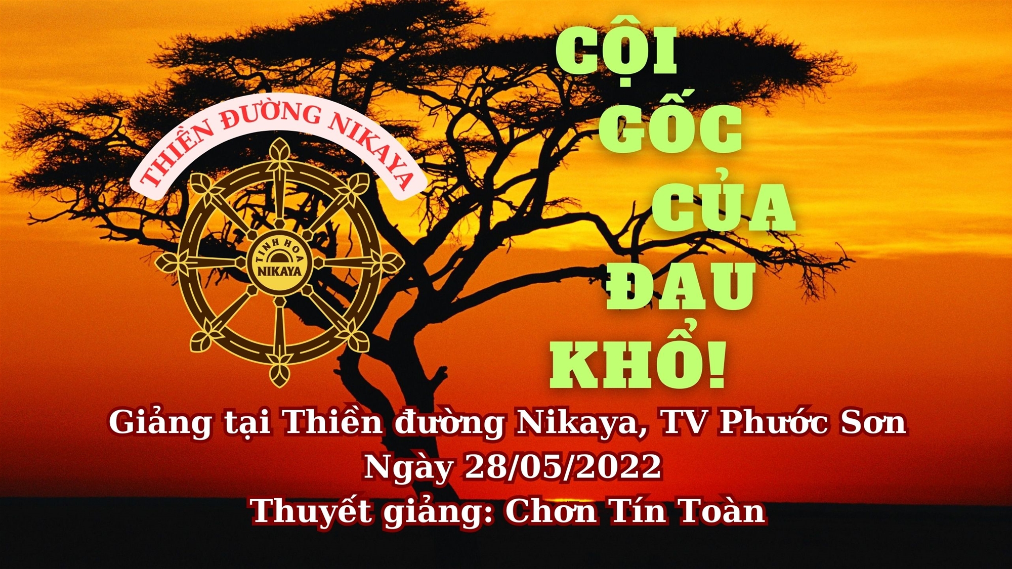 59_ CỘI GỐC CỦA ĐAU KHỔ_ CHƠN TÍN TOÀN