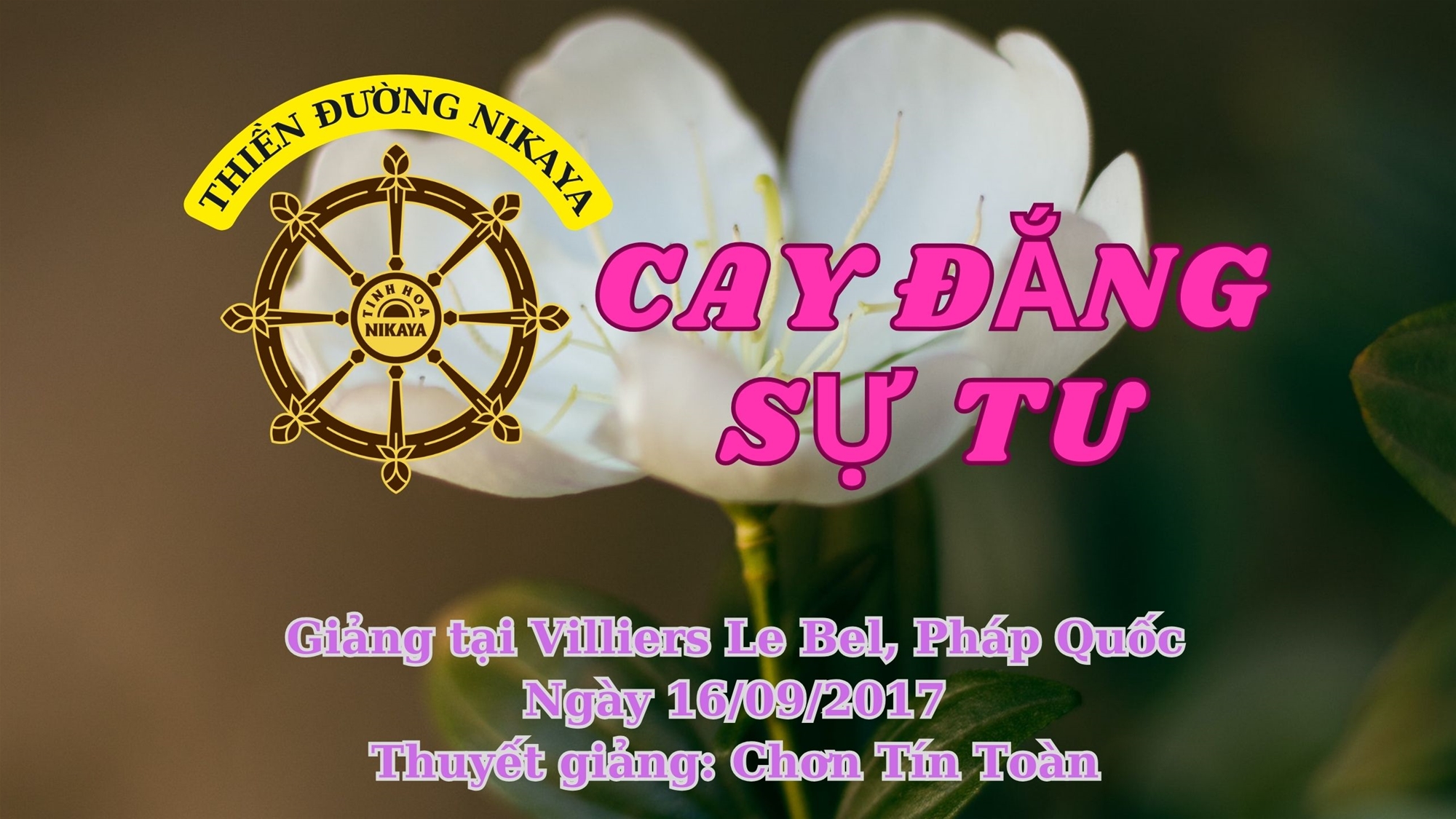 152_ CAY ĐẮNG SỰ TU_ CHƠN TÍN TOÀN