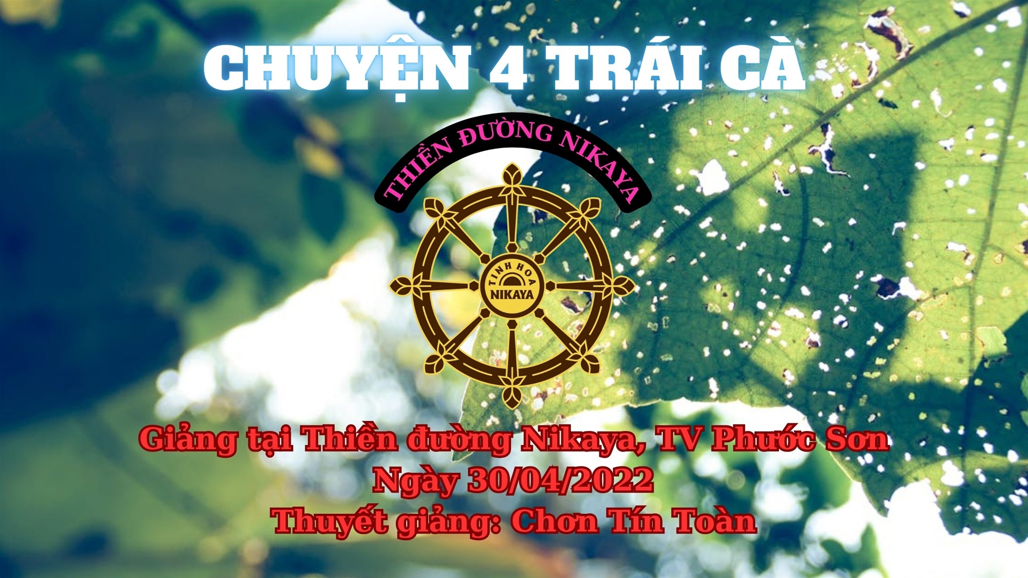 197_ CHUYỆN 4 TRÁI CÀ_ CHƠN TÍN TOÀN