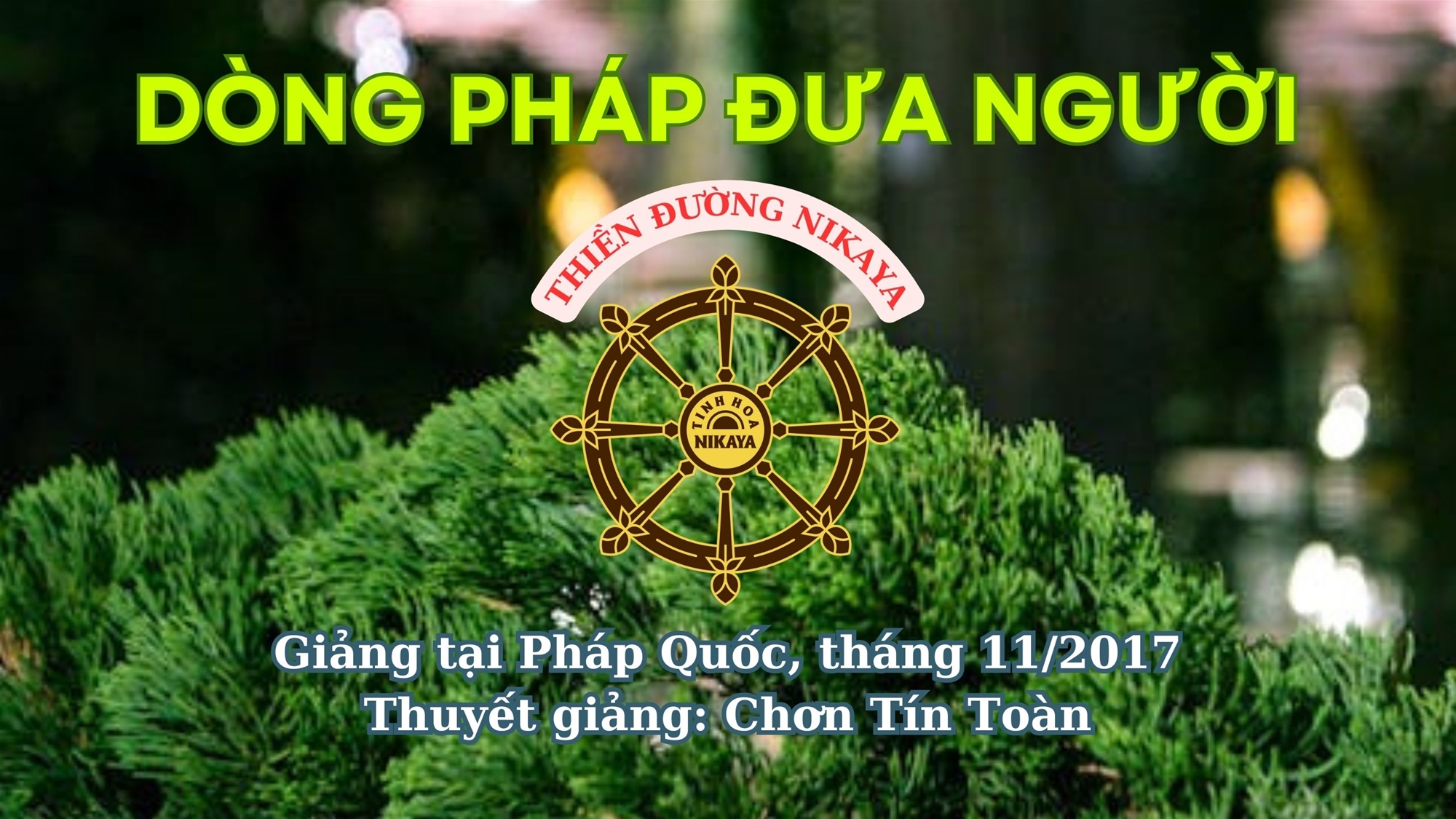 207_ DÒNG PHÁP ĐƯA NGƯỜI_ CHƠN TÍN TOÀN