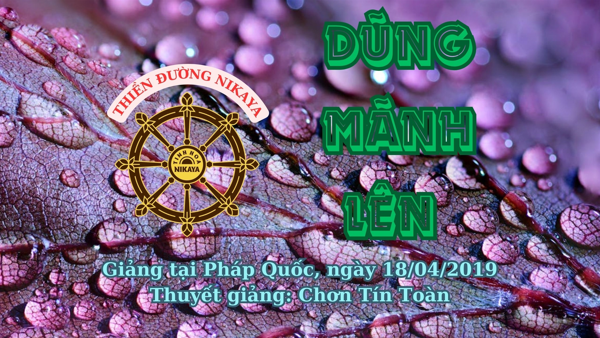 209_ DŨNG MÃNH LÊN_ CHƠN TÍN TOÀN