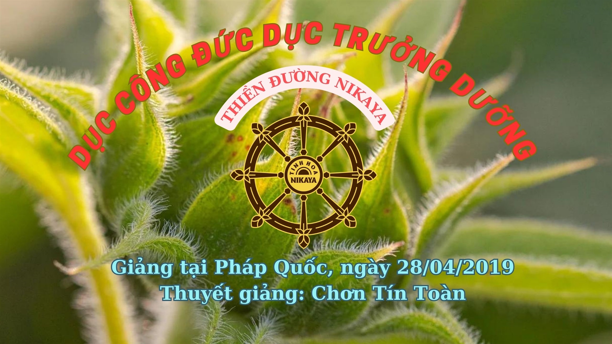 173_ DỤC CÔNG ĐỨC DỤC TRƯỞNG DƯỠNG_ CHƠN TÍN TOÀN
