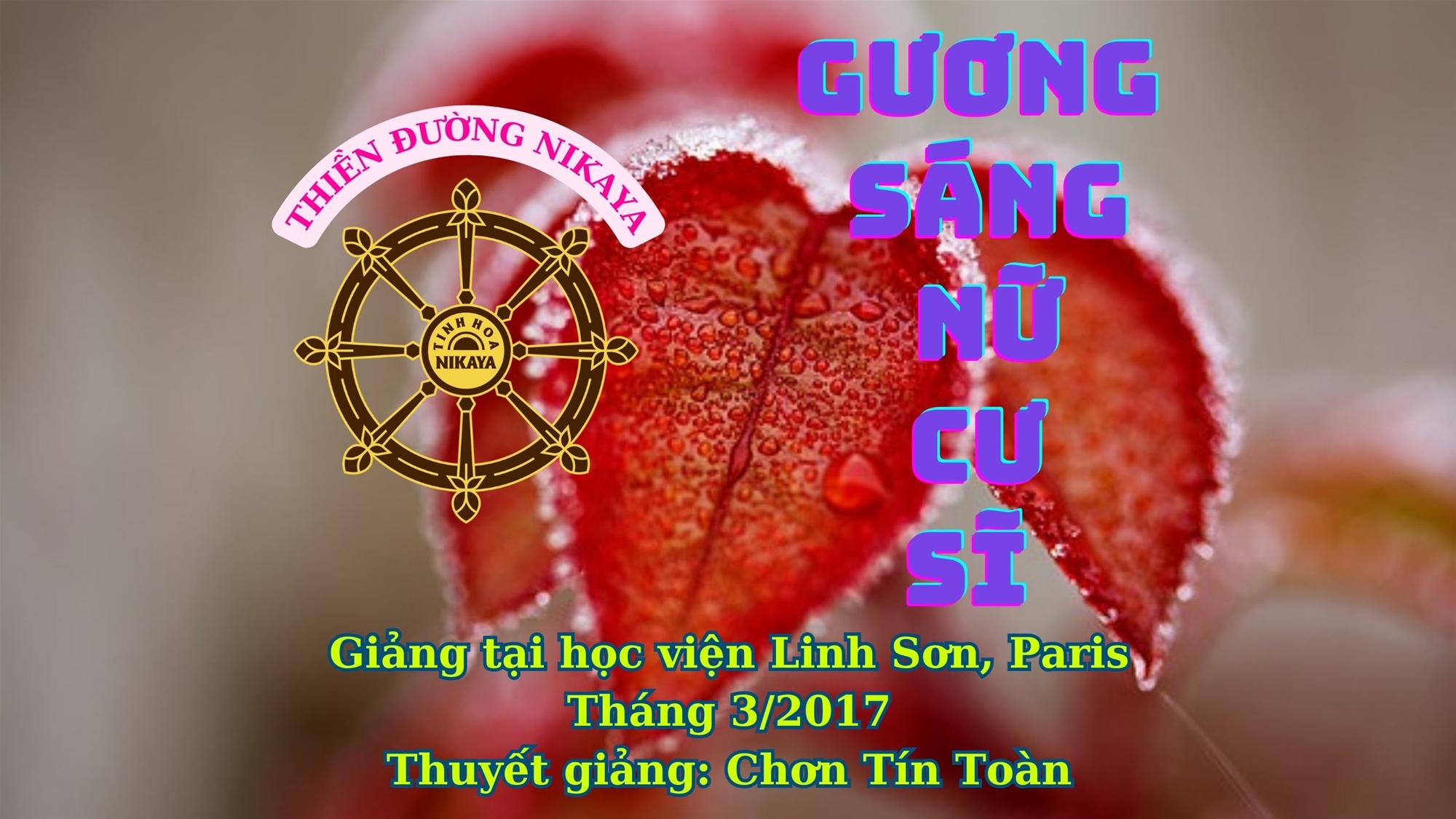 252_ GƯƠNG SÁNG NỮ CƯ SĨ_ CHƠN TÍN TOÀN