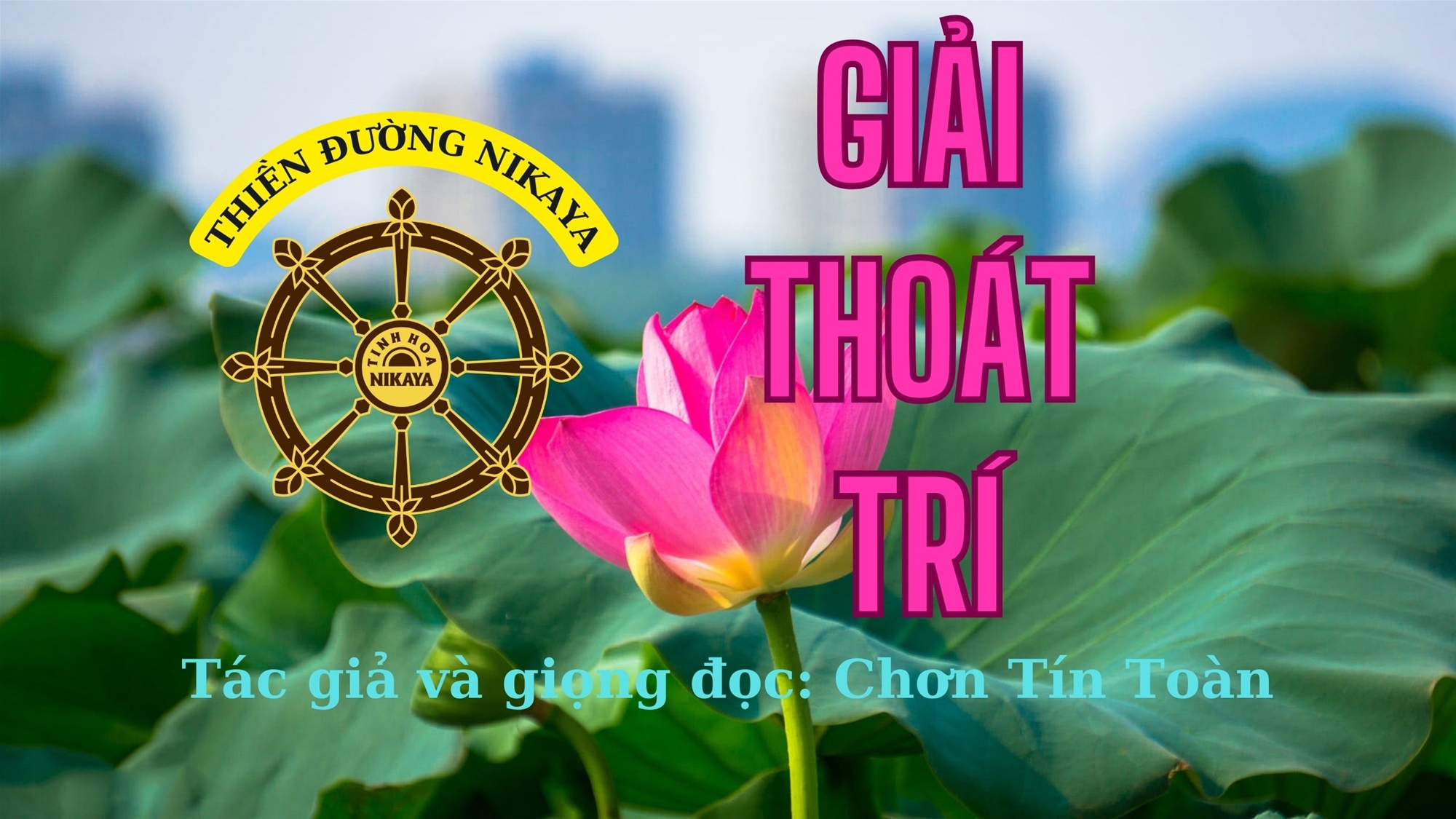 83_ GIẢI THOÁT TRÍ_ CHƠN TÍN TOÀN