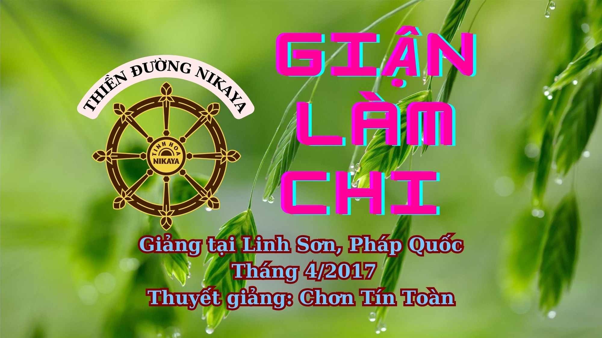 60_ GIẬN LÀM CHI_ CHƠN TÍN TOÀN