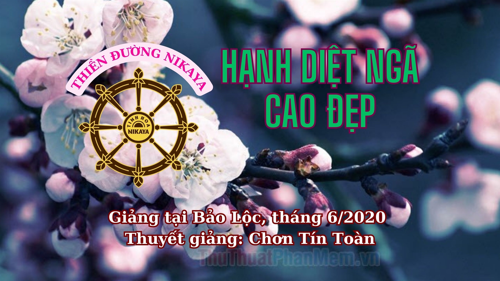 128_ HẠNH DIỆT NGÃ CAO ĐẸP_ HẠNH DIỆT BÃN NGÃ CAO ĐẸP
