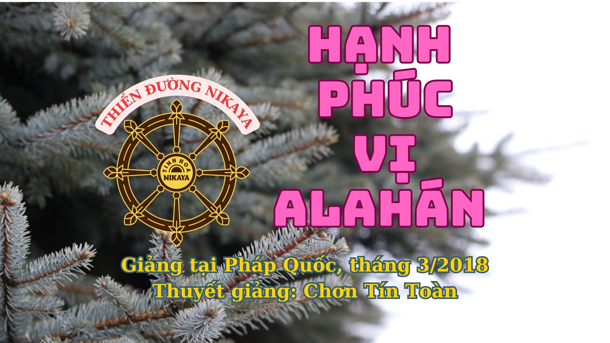 206_ HẠNH PHÚC VỊ ALAHÁN_ CHƠN TÍN TOÀN