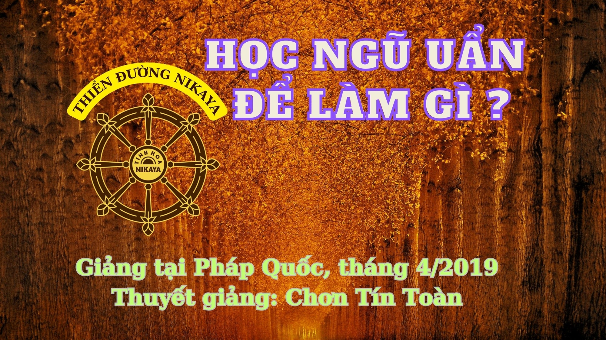 31_ HỌC NGŨ UẨN ĐỂ LÀM GÌ_ CHƠN TÍN TOÀN