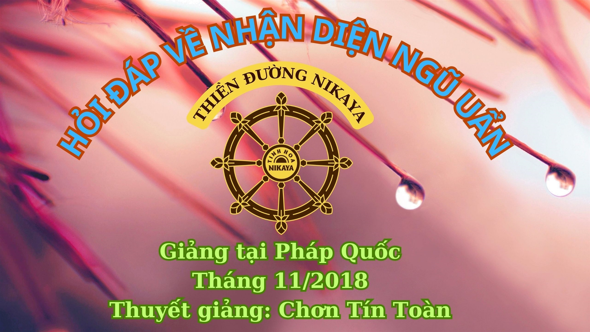 28_ HỎI ĐÁP VỀ NHẬN DIỆN NGŨ UẨN_ CHƠN TÍN TOÀN