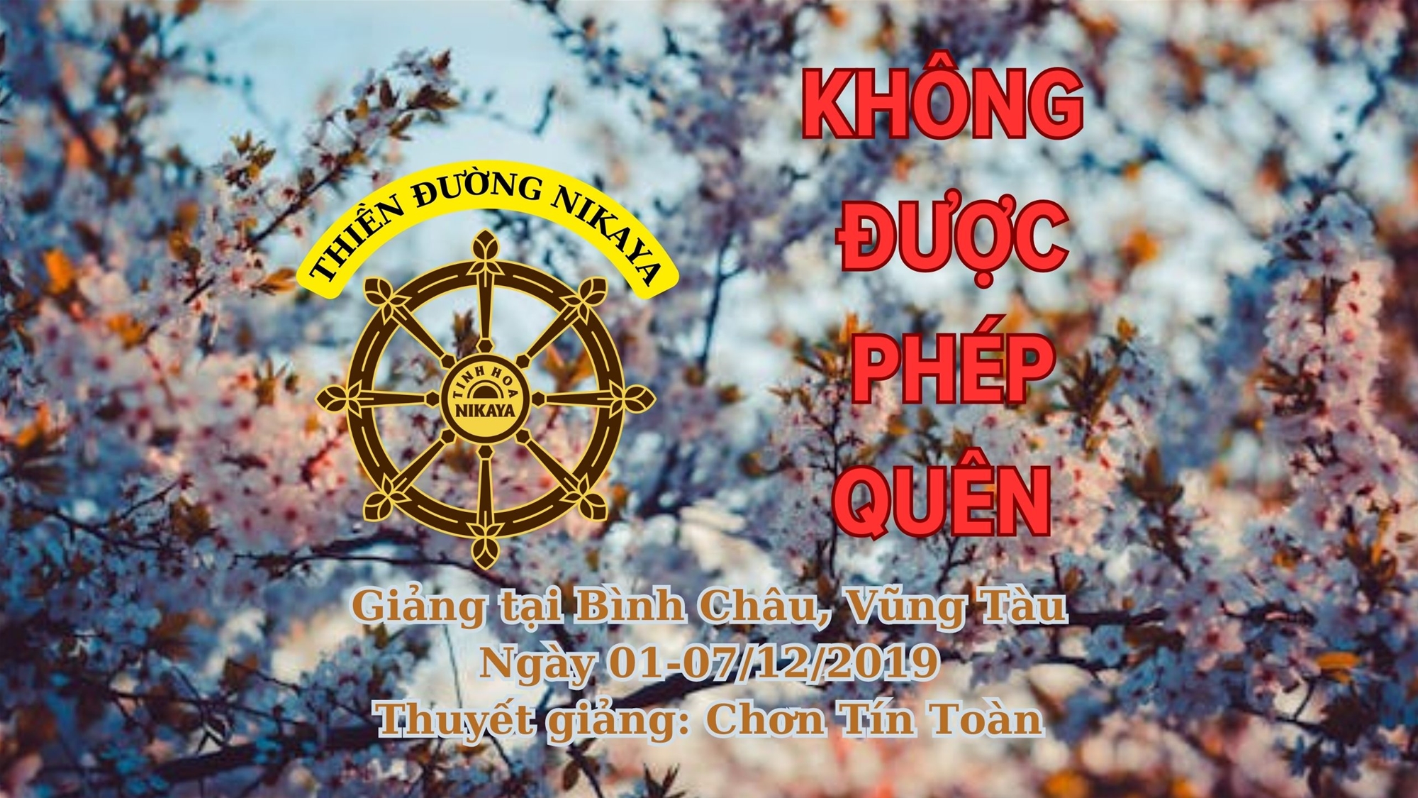 208_ KHÔNG ĐƯỢC PHÉP QUÊN_ CHƠN TÍN TOÀN
