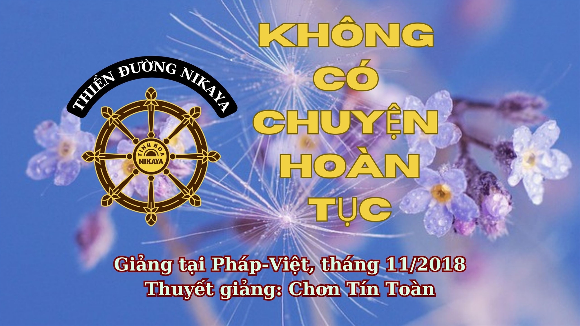 175_ KHÔNG CÓ CHUYỆN HOÀN TỤC_ CHƠN TÍN TOÀN
