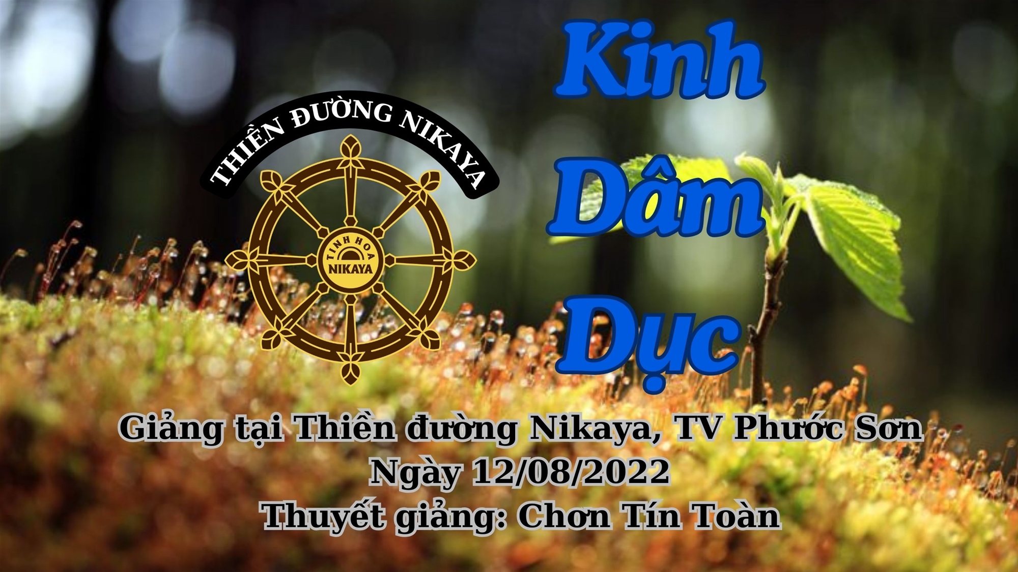 119_ KINH DÂM DỤC_ CHƠN TÍN TOÀN