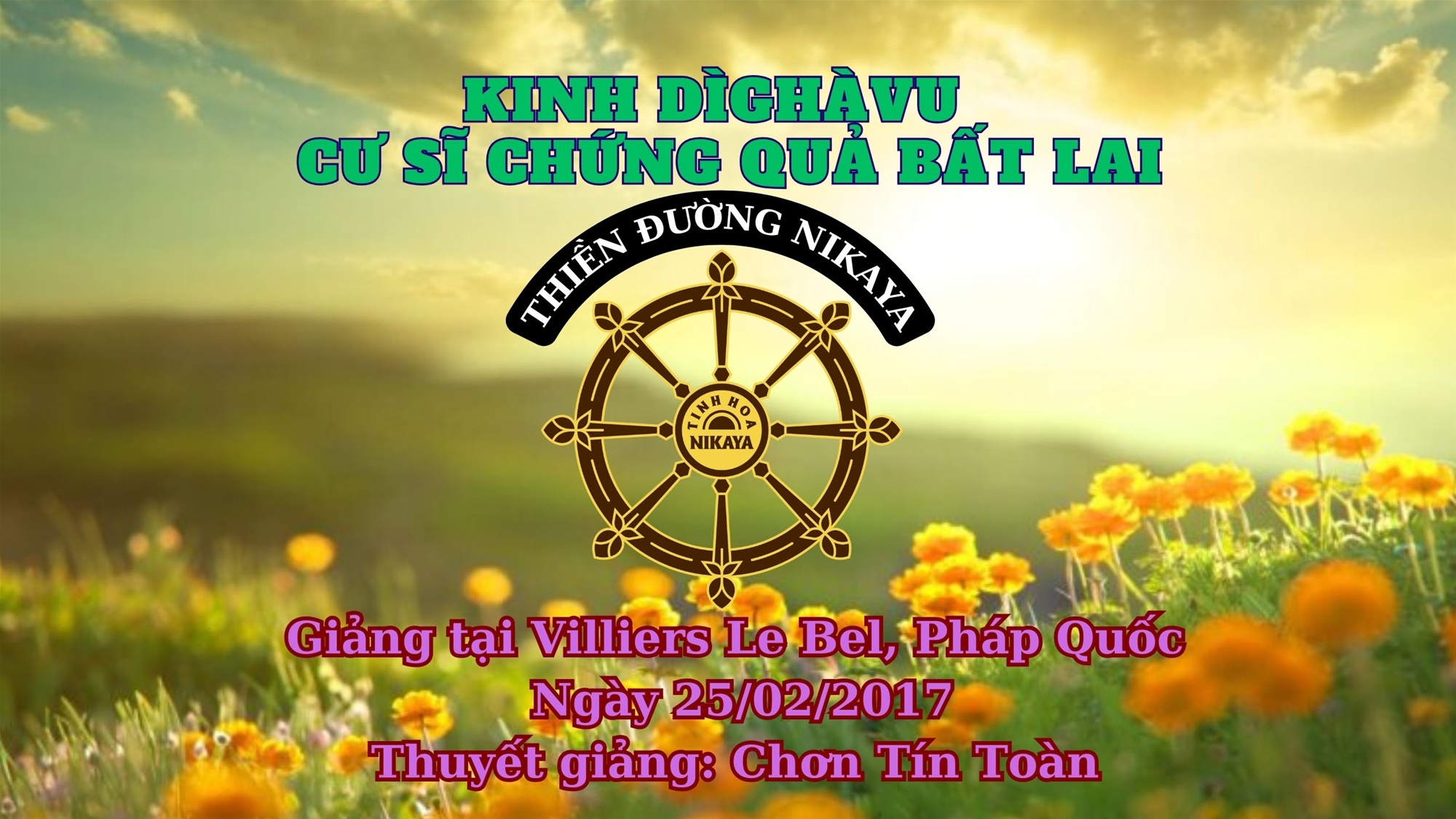 117_ KINH DÌGHÀVU – CƯ SĨ CHỨNG QUẢ BẤT LAI_ CHƠN TÍN TOÀN