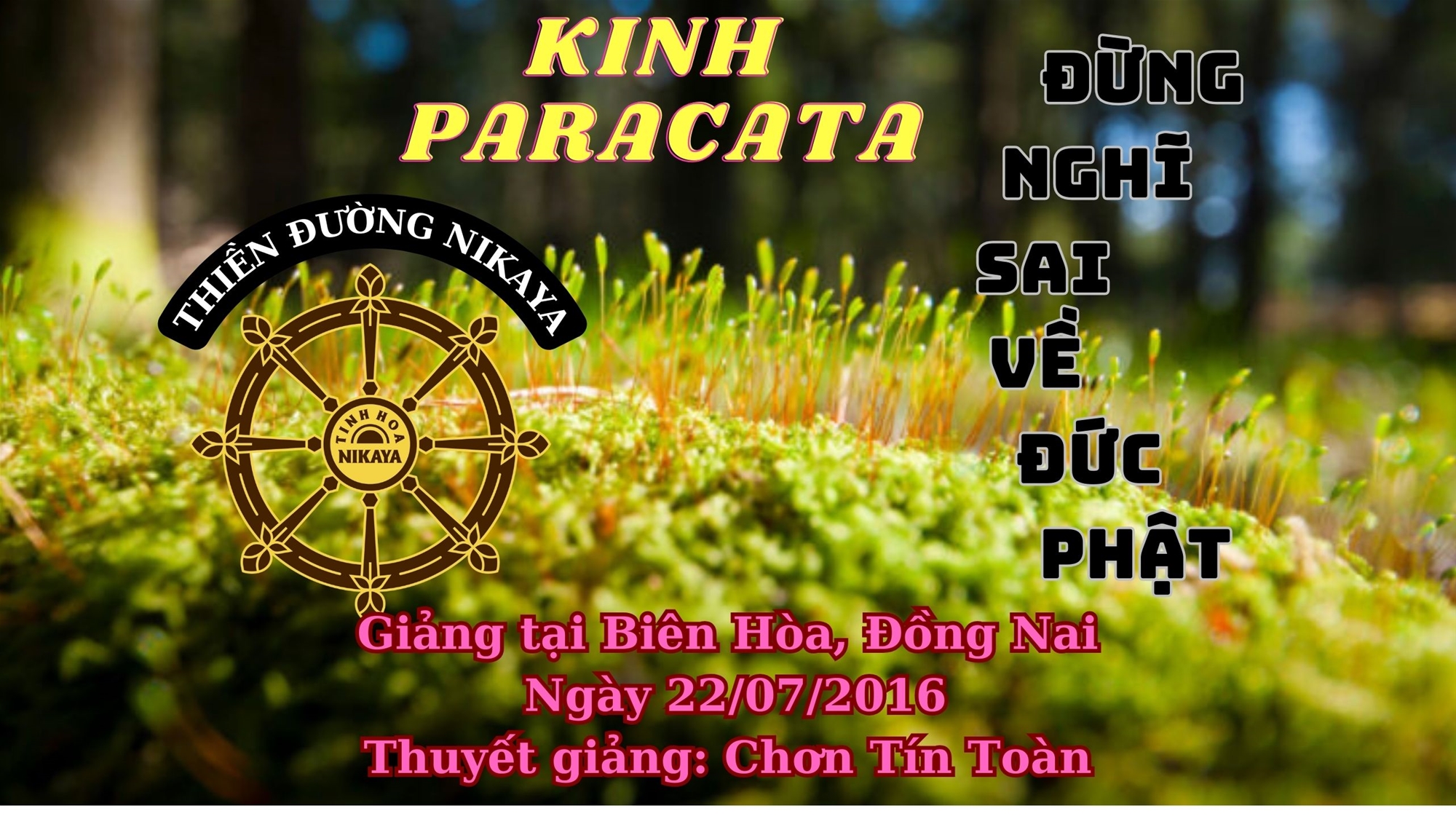 114_ KINH PATACARA - ĐỪNG NGHĨ SAI VỀ ĐỨC PHẬT_ CHƠN TÍN TOÀN