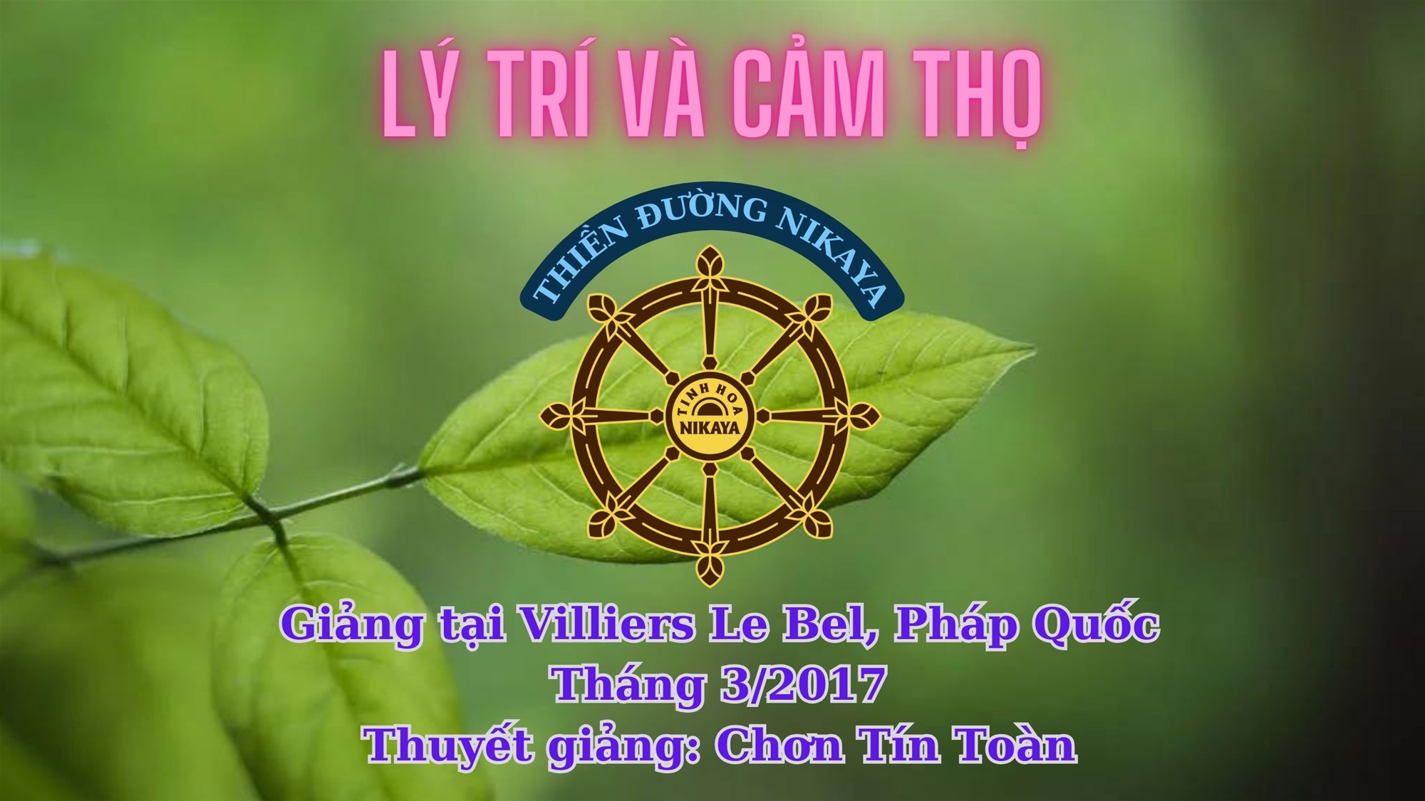 178_ LÝ TRÍ VÀ CẢM THỌ_ CHƠN TÍN TOÀN