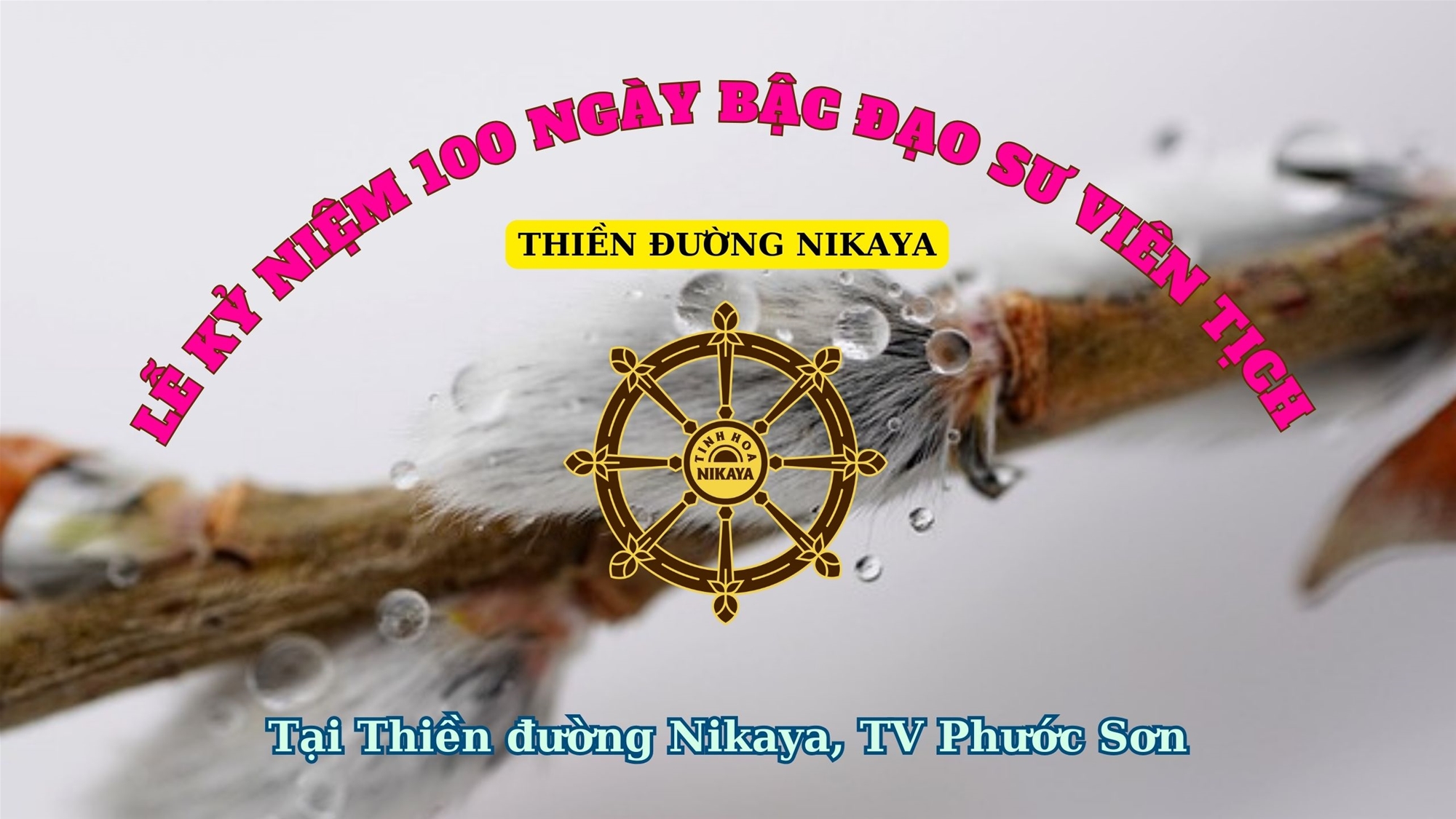 226_ LỄ KỶ NIỆM 100 NGÀY BẬC ĐẠO SƯ VIÊN TỊCH_ CHƠN TÍN TOÀN