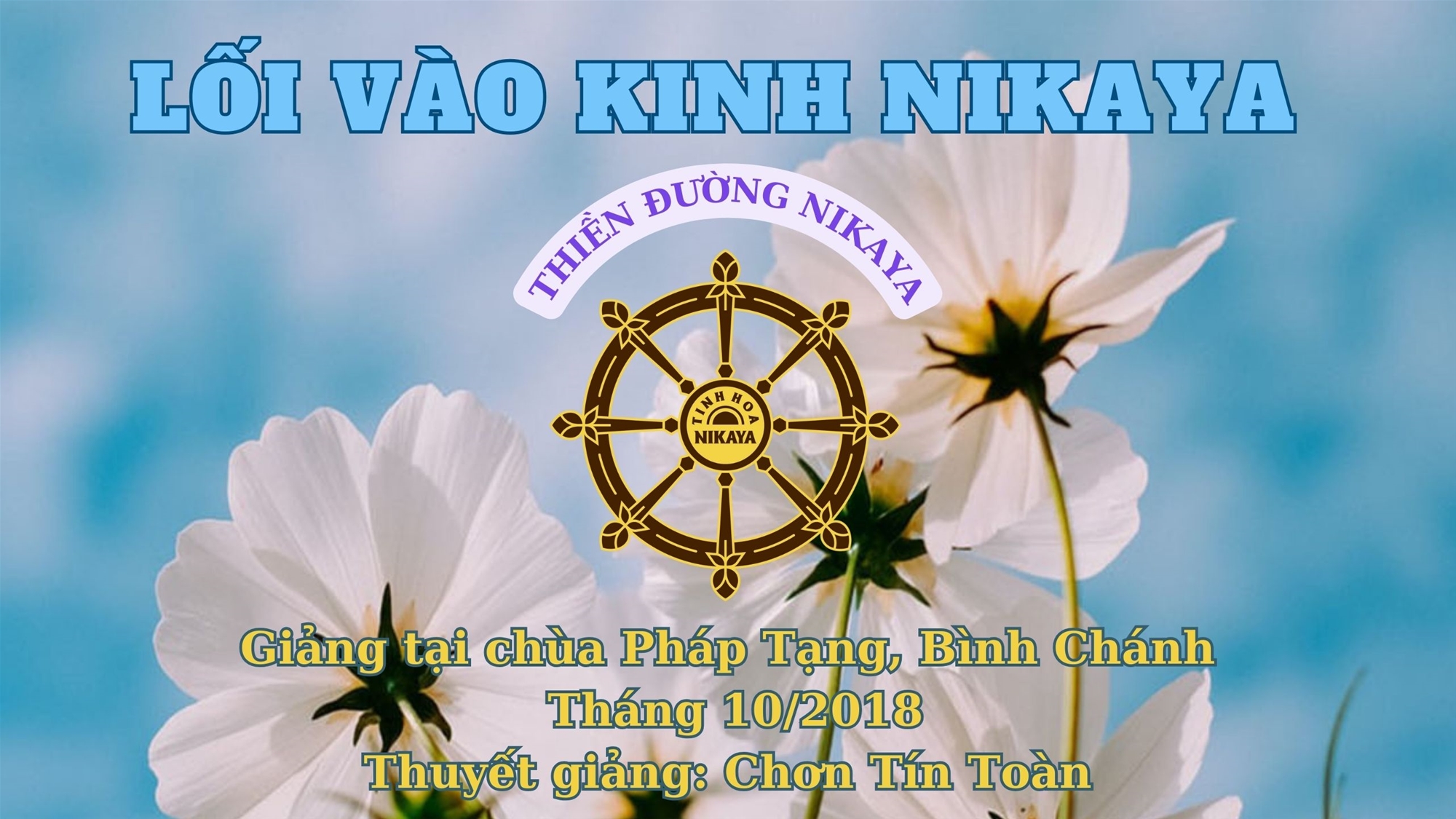 162_ LỐI VÀO KINH NIKAYA_ CHƠN TÍN TOÀN