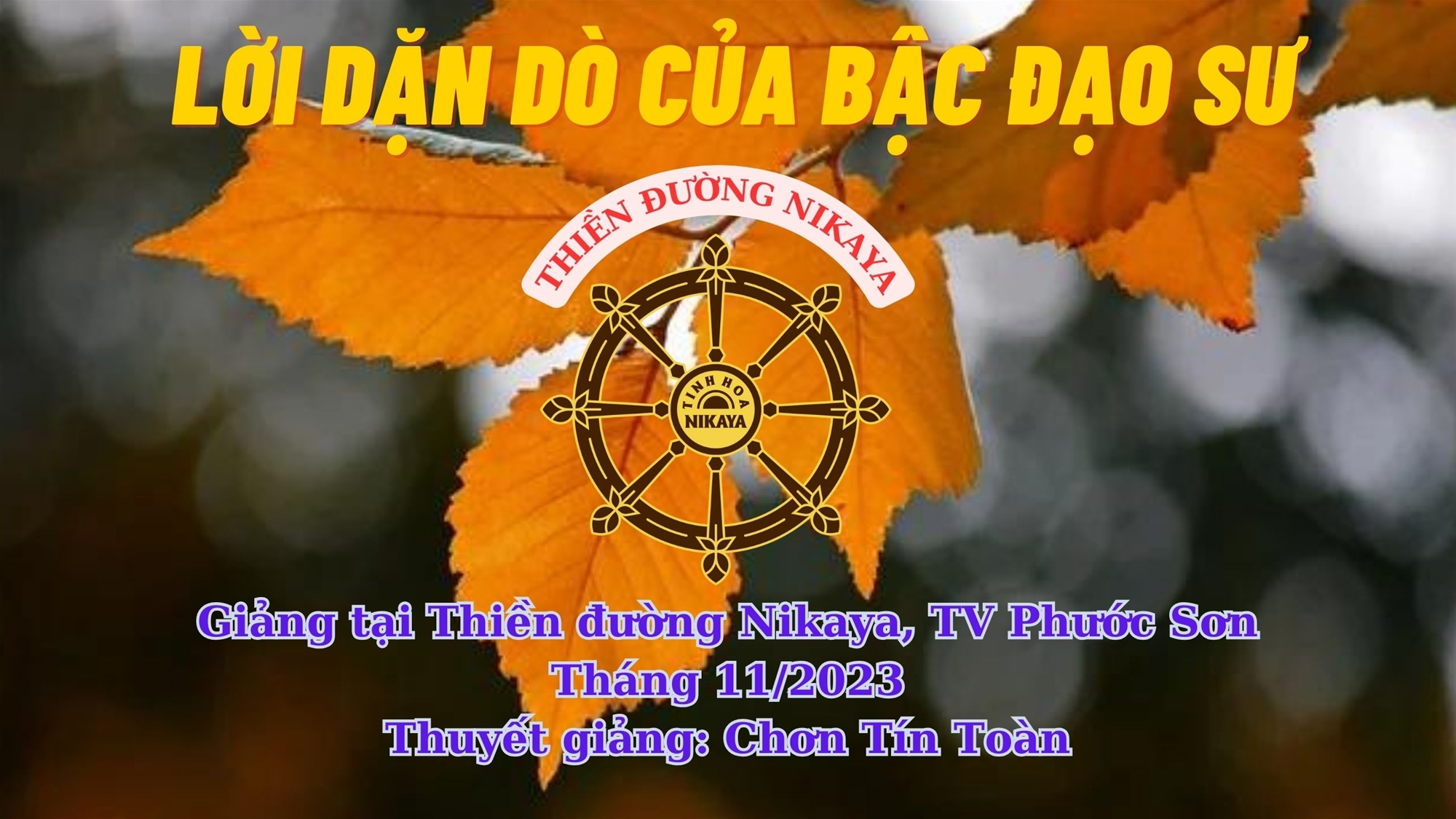 219_ LỜI DẶN DÒ CỦA BẬC ĐẠO SƯ_ CHƠN TÍN TOÀN