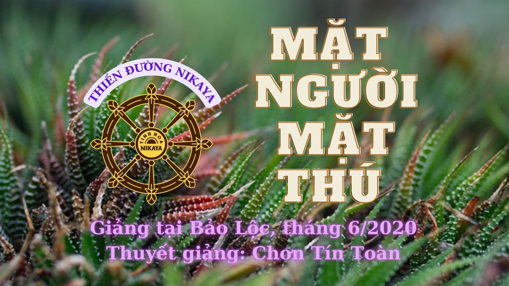 179_ MẶT NGƯỜI MẶT THÚ_ CHƠN TÍN TOÀN