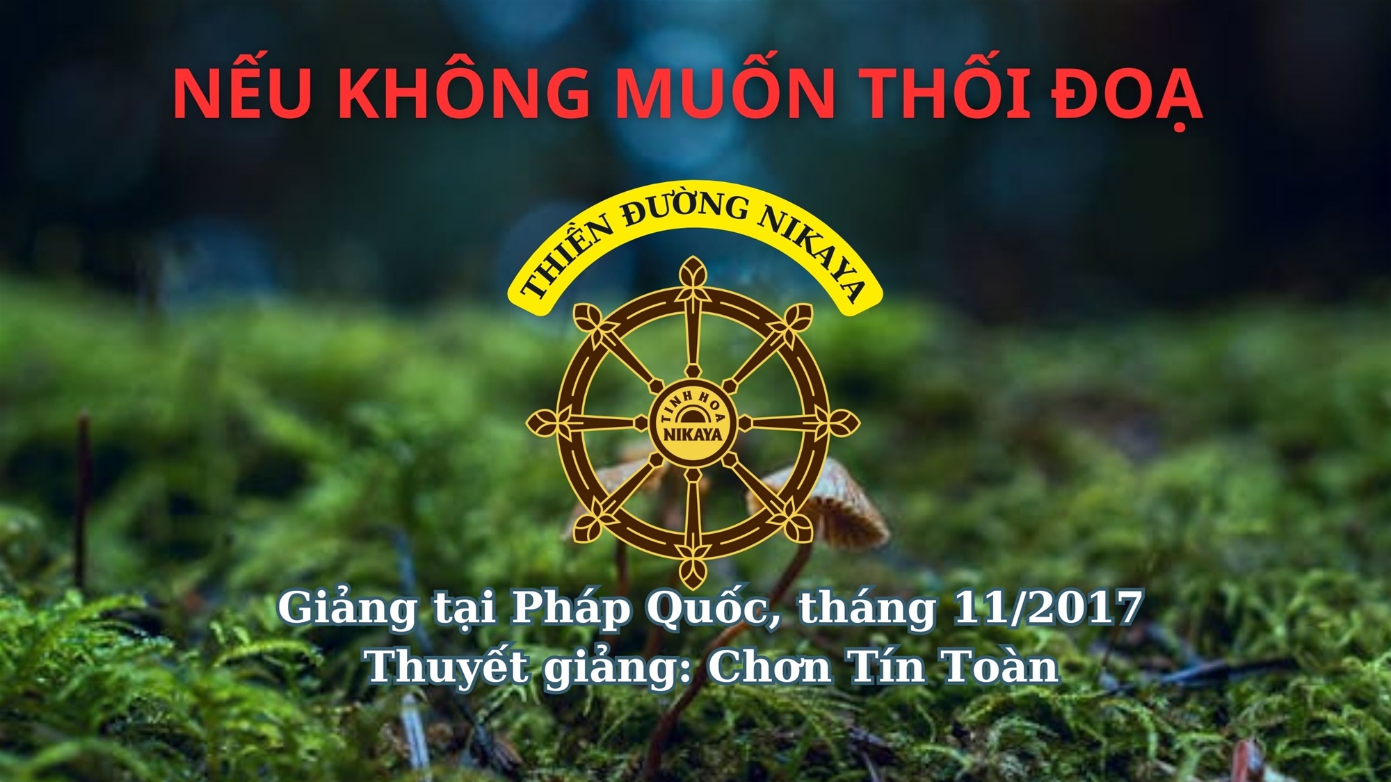 182_ NẾU KHÔNG MUỐN THỐI ĐOẠ_ CHƠN TÍN TOÀN