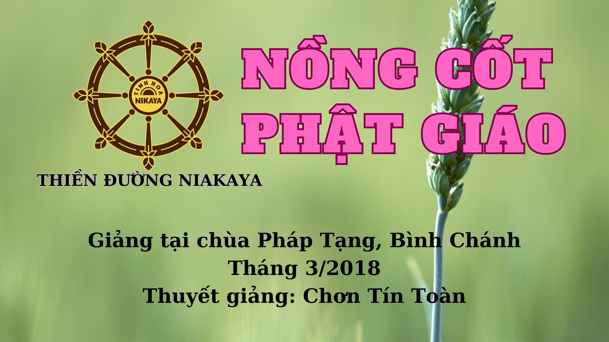 06_NỒNG CỐT PHẬT GIÁO_ CHƠN TÍN TOÀN