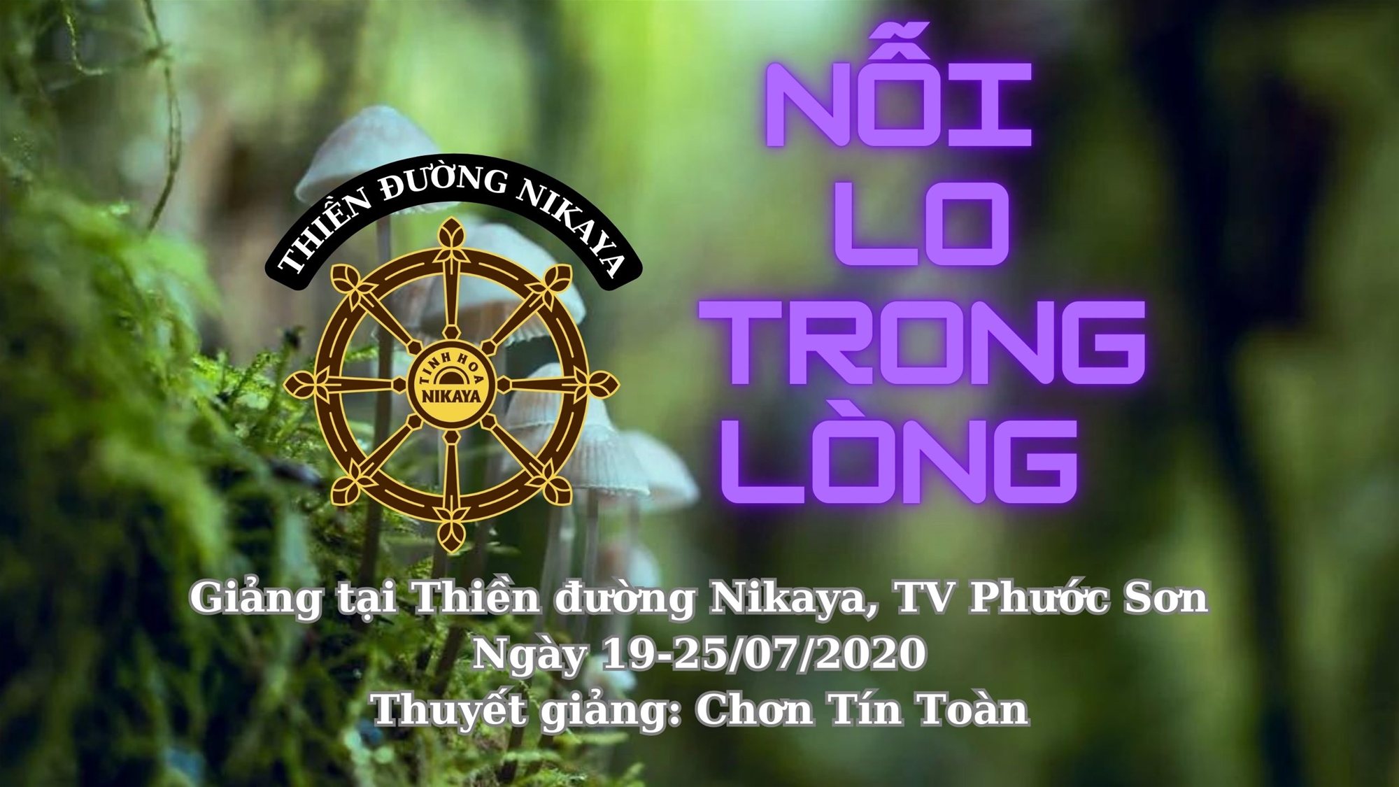 194_ NỖI LO TRONG LÒNG_ CHƠN TÍN TOÀN
