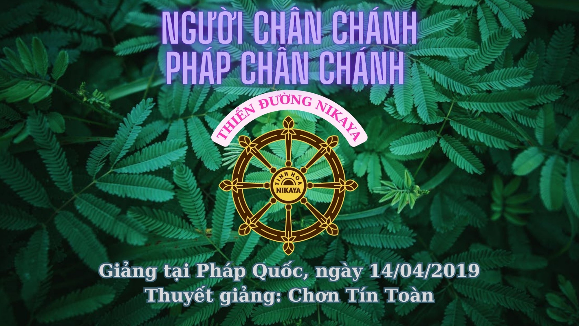 191_ NGƯỜI CHÂN CHÁNH PHÁP CHÂN CHÁNH_ CHƠN TÍN TOÀN