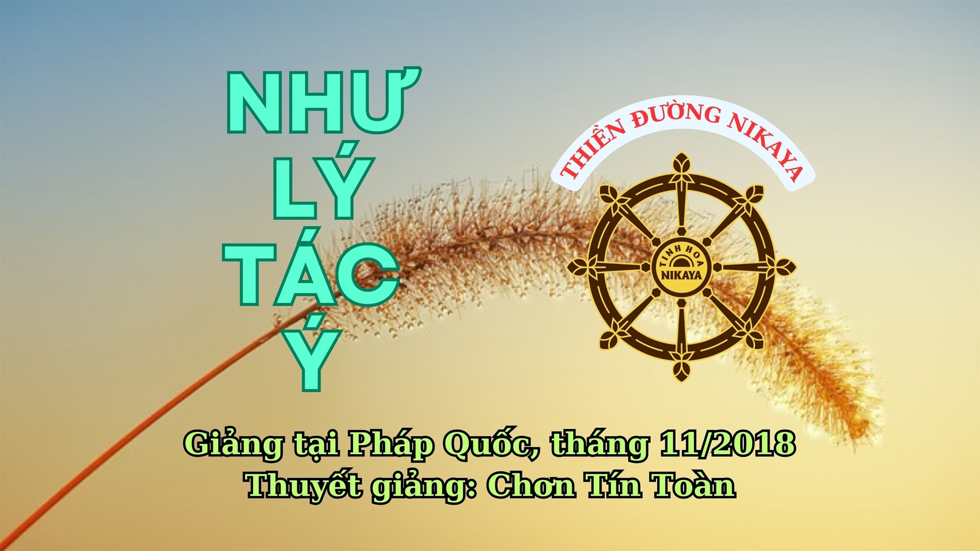 261_ NHƯ LÝ TÁC Ý_ CHƠN TÍN TOÀN