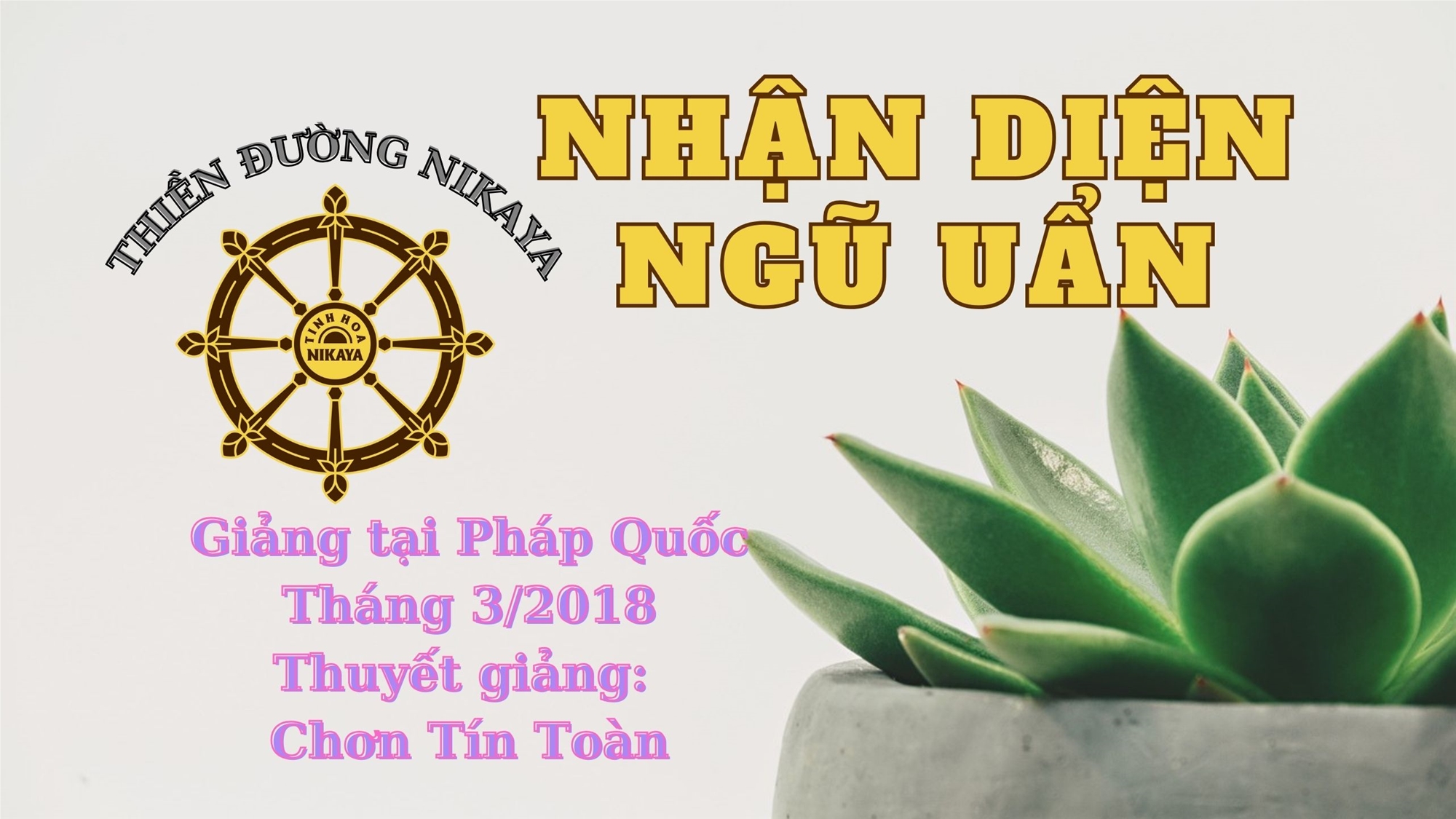 13_ NHẬN DIỆN NGŨ UẨN_ CHƠN TÍN TOÀN