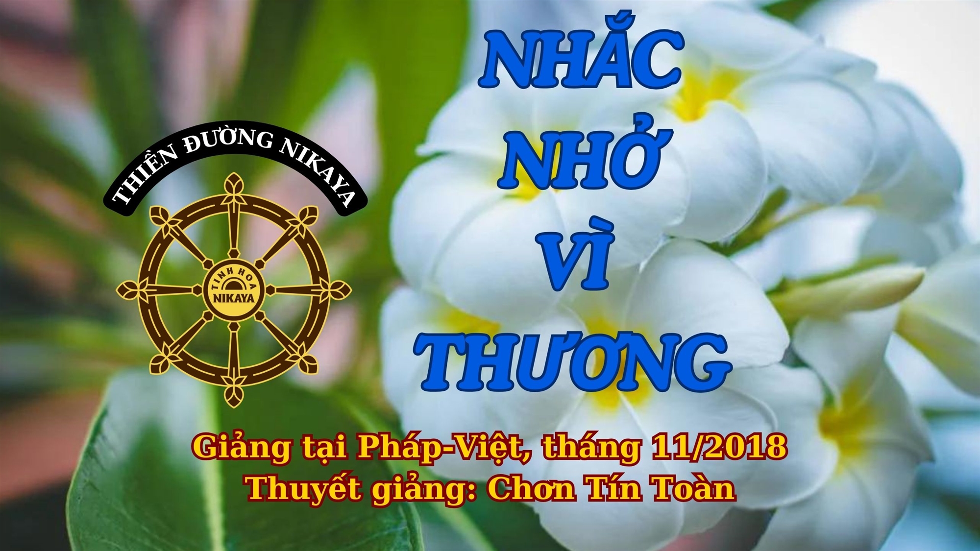 193_ NHẮC NHỞ VÌ THƯƠNG_ CHƠN TÍN TOÀN