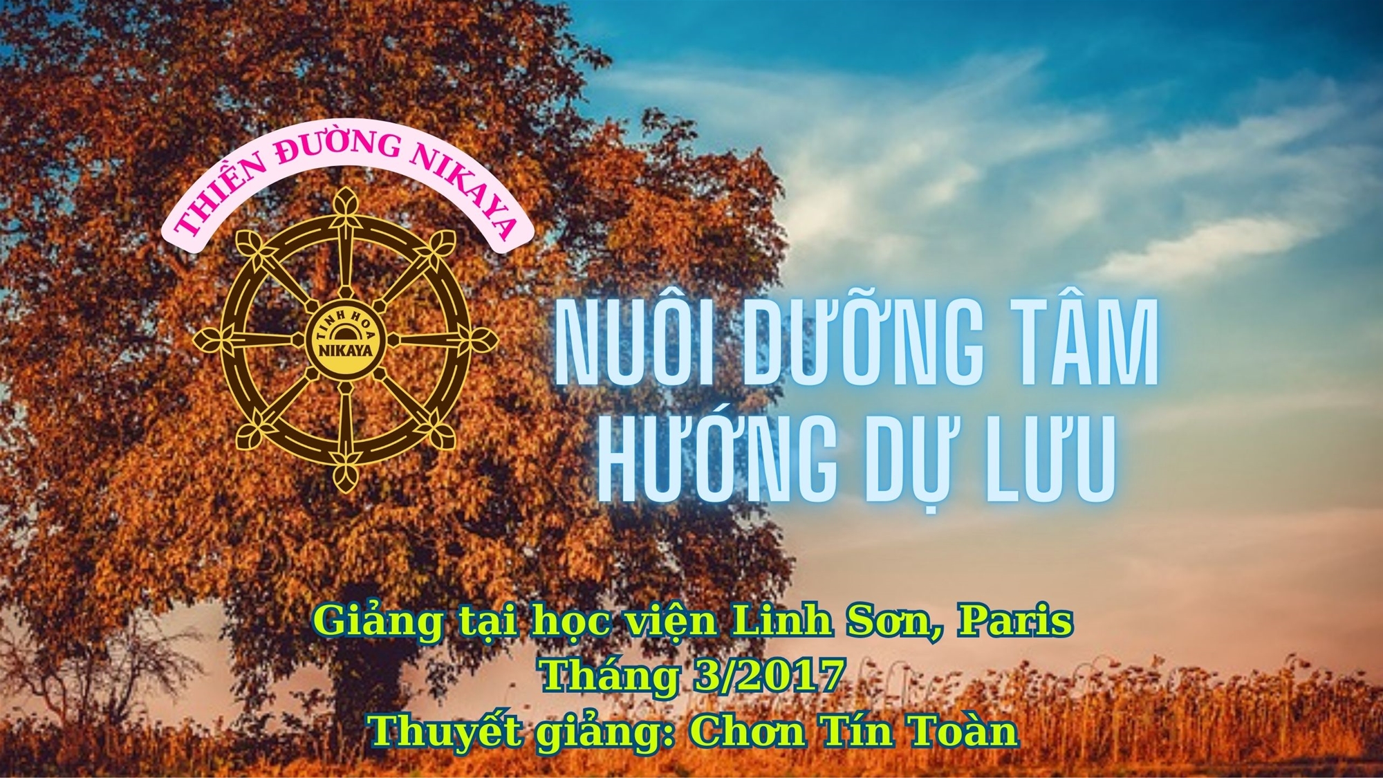 234_ NUÔI DƯỠNG TÂM HƯỚNG DỰ LƯU_ CHƠN TÍN TOÀN