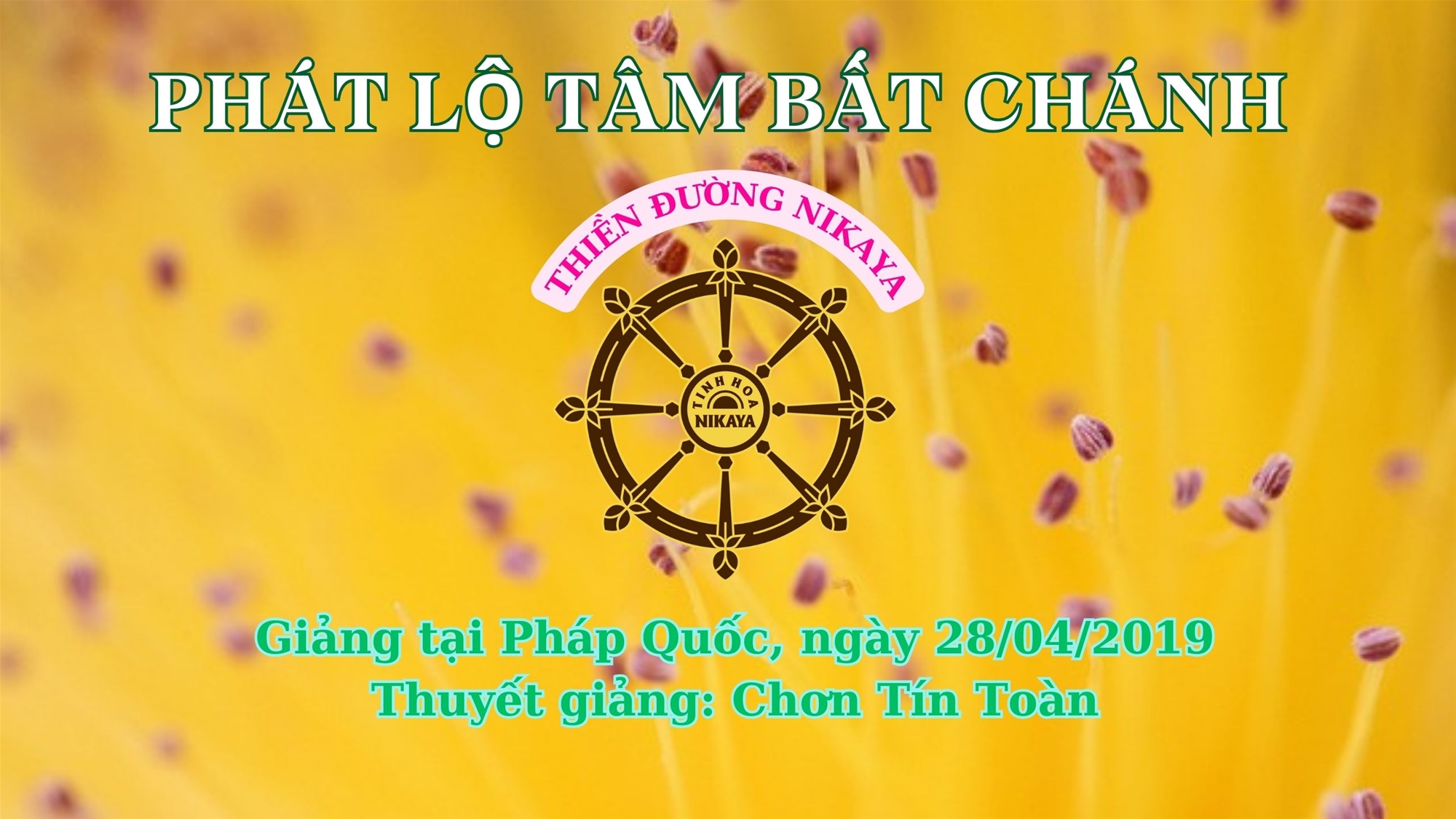 239_ PHÁT LỘ TÂM BẤT CHÁNH_ CHƠN TÍN TOÀN